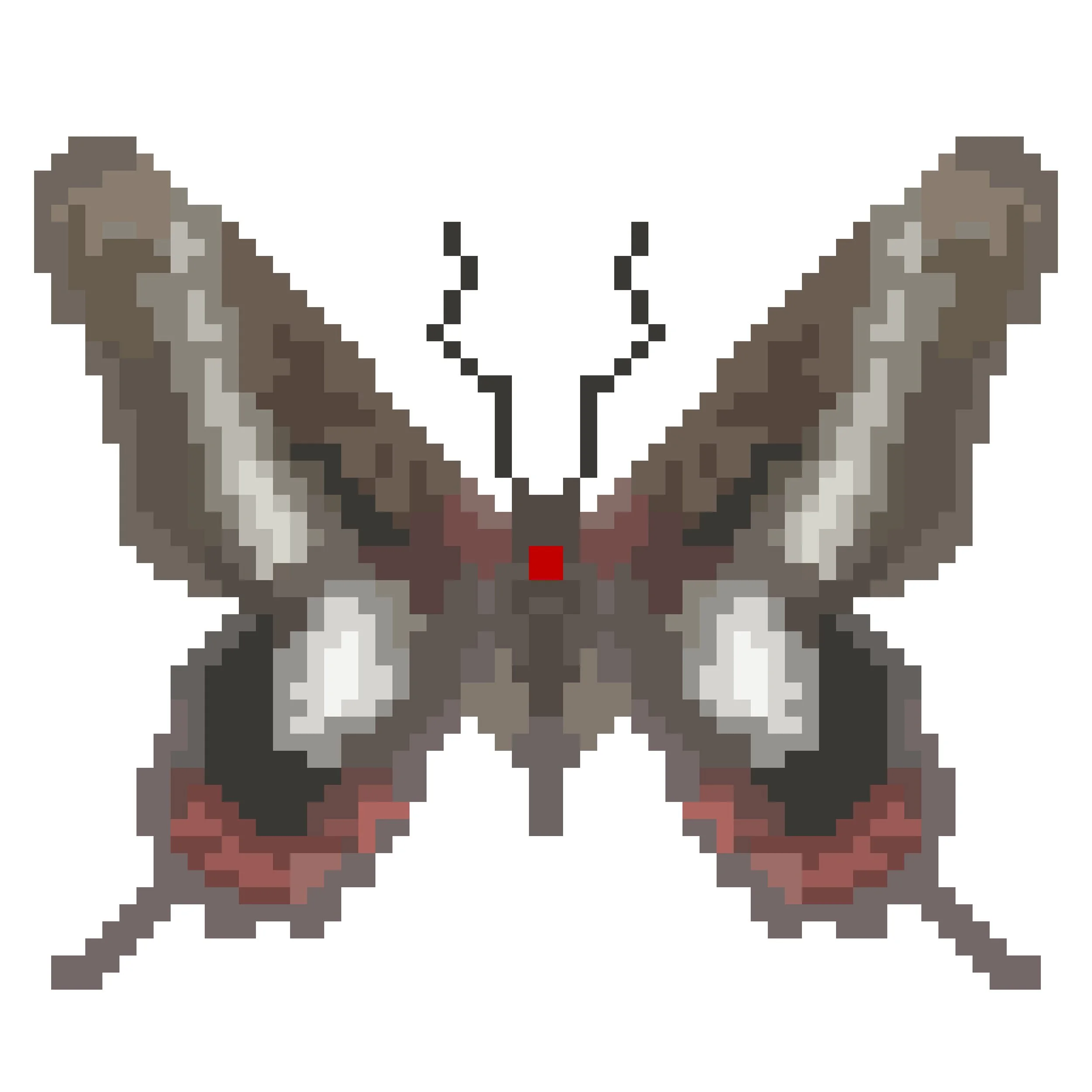 Wingpin#0721-Mimoides lysithous.jpg