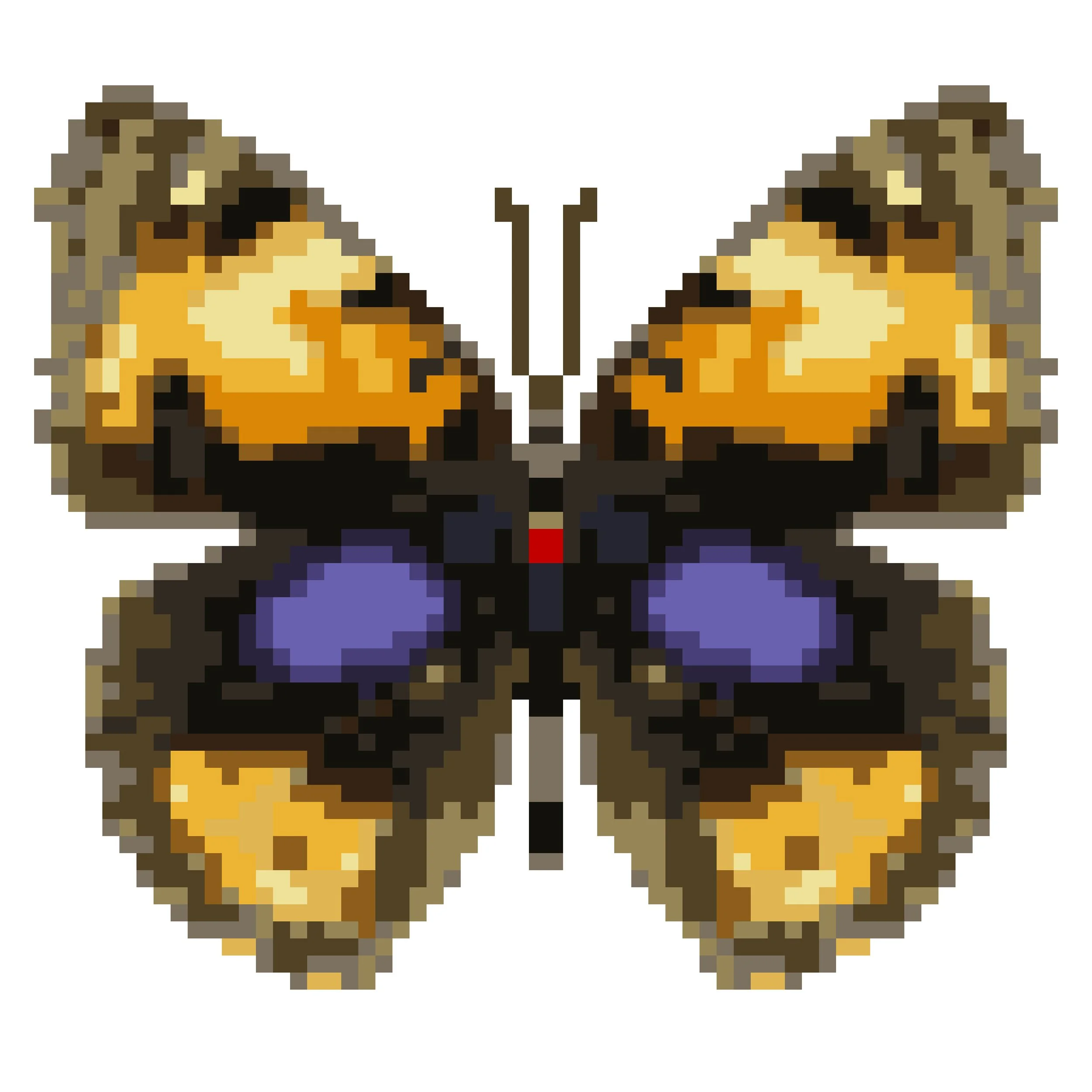 Wingpin#0096-Junonia hierta.jpg