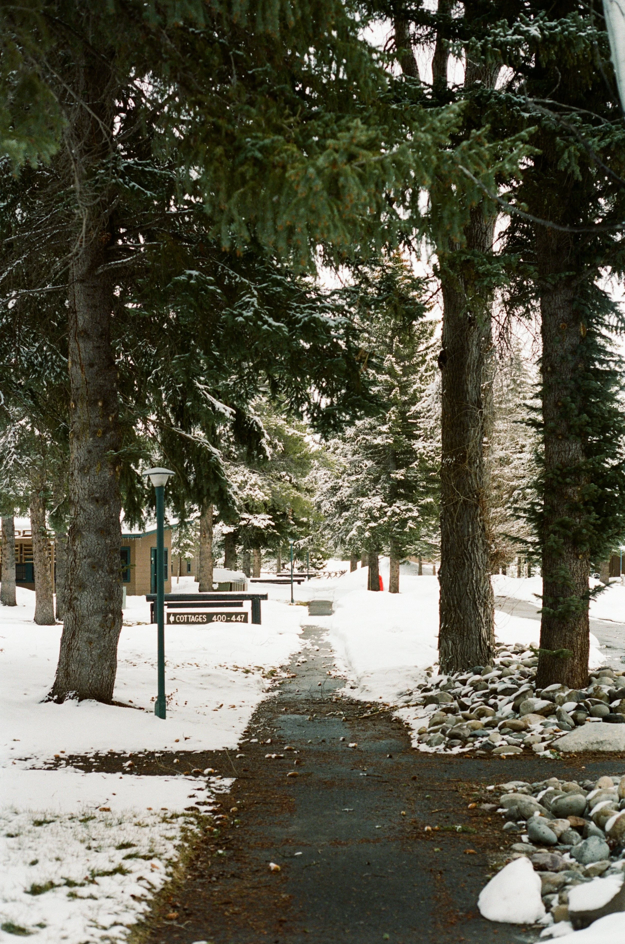6586-29.jpg
