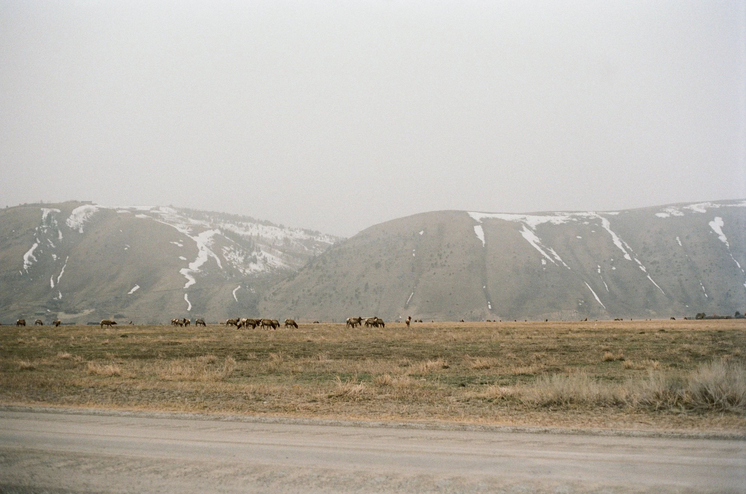 6585-21.jpg
