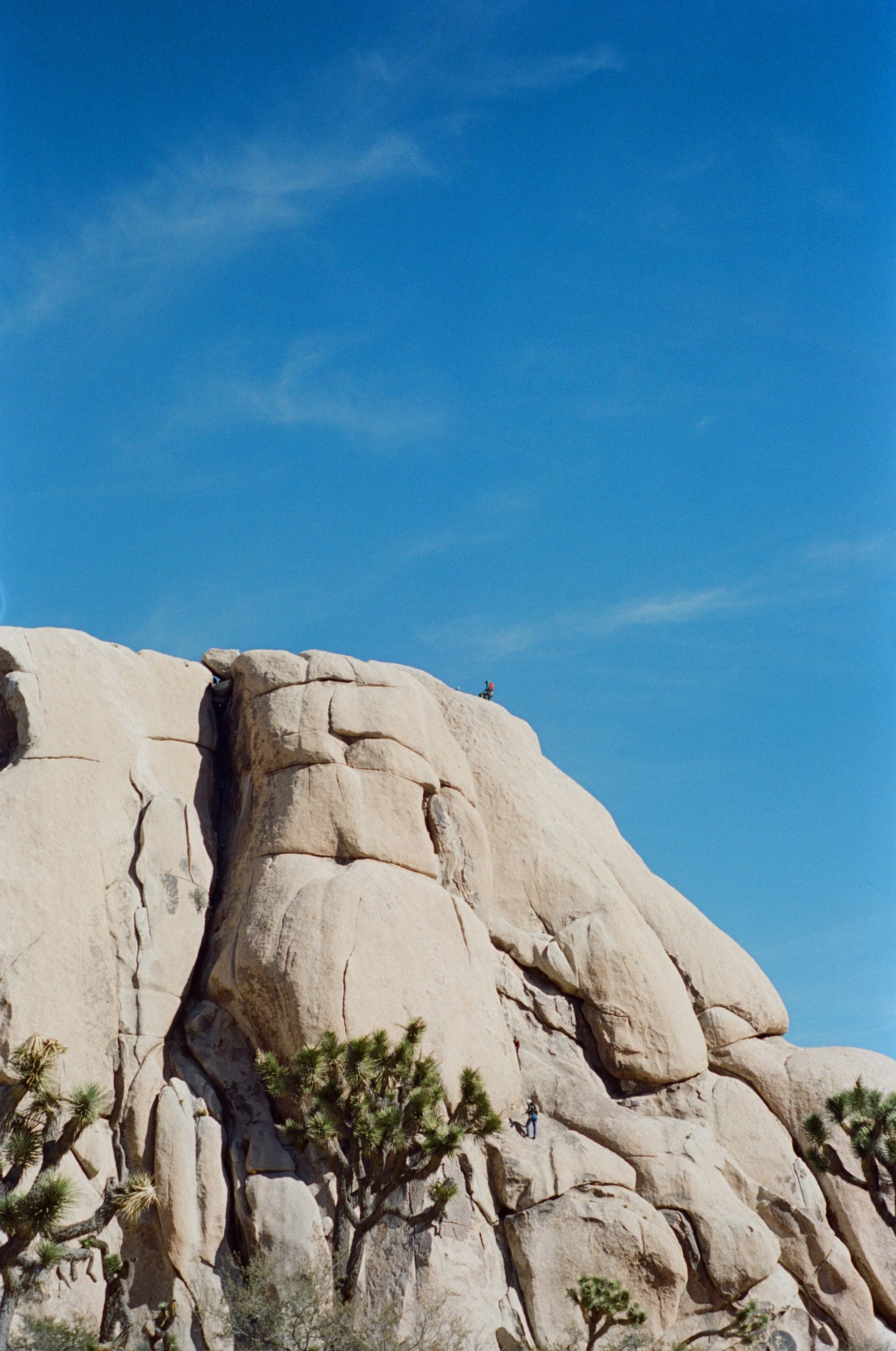 6509-34.jpg
