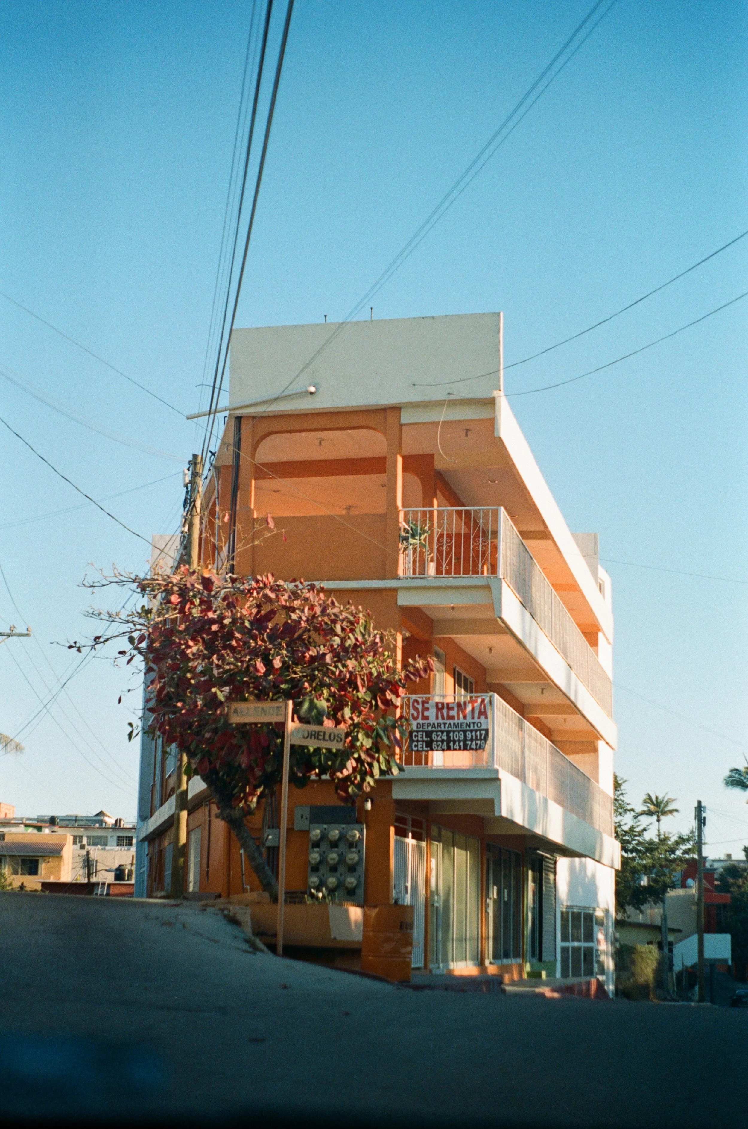 9501-28.jpg