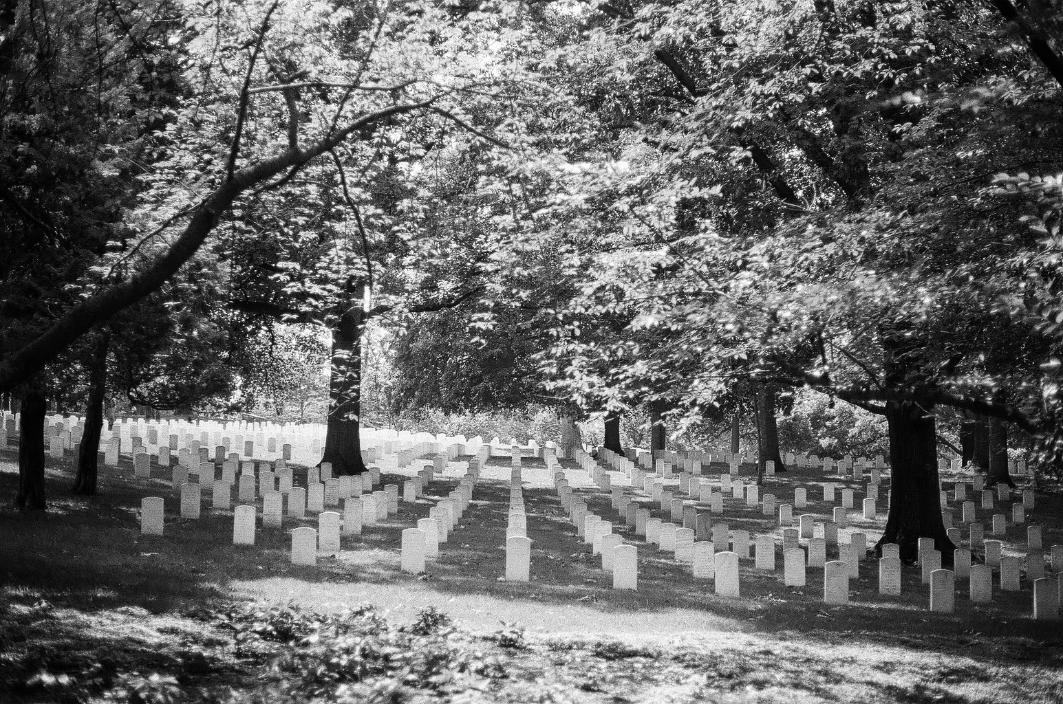 000015730013.jpg