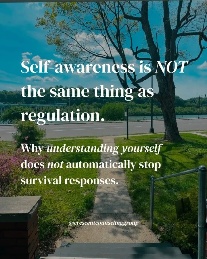 A lot of people come into therapy already 𝘩𝘪𝘨𝘩𝘭𝘺 𝘴𝘦𝘭𝘧-𝘢𝘸𝘢𝘳𝘦.

They 𝘶𝘯𝘥𝘦𝘳𝘴𝘵𝘢𝘯𝘥 their attachment patterns.
They 𝘳𝘦𝘤𝘰𝘨𝘯𝘪𝘻𝘦 their triggers.
They 𝘬𝘯𝘰𝘸 where certain fears, anxieties, or coping strategies come from.

A