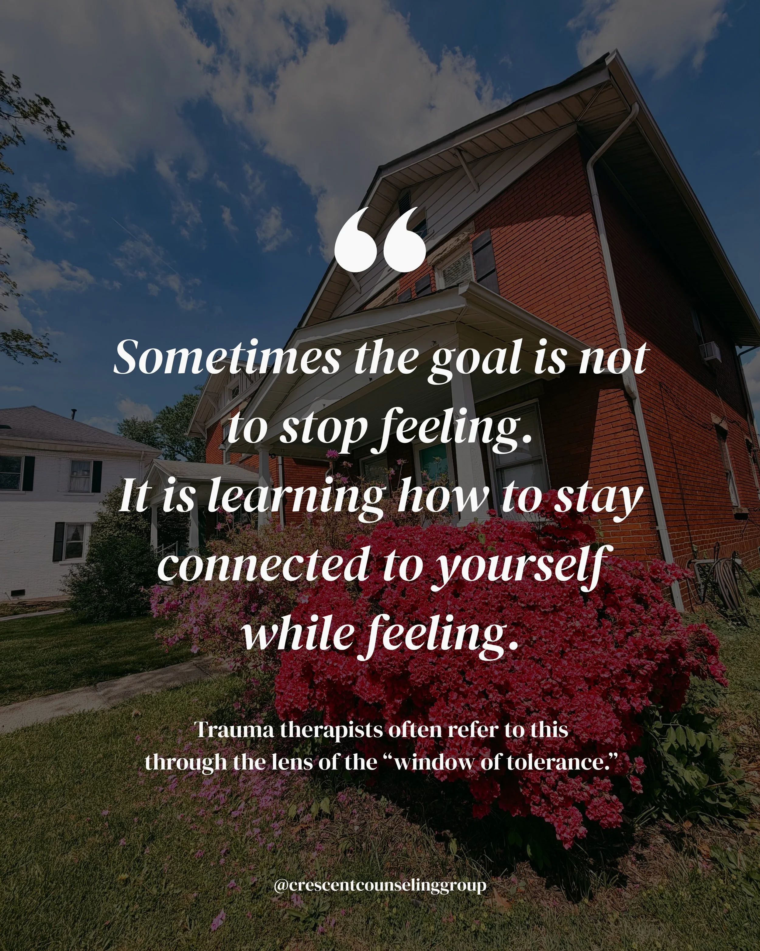 One of the more difficult parts of emotional overwhelm is that many people do not recognize it as overwhelm while it is happening.

They recognize it later.

After the shutdown.
After the panic.
After snapping at someone.
After going emotionally numb