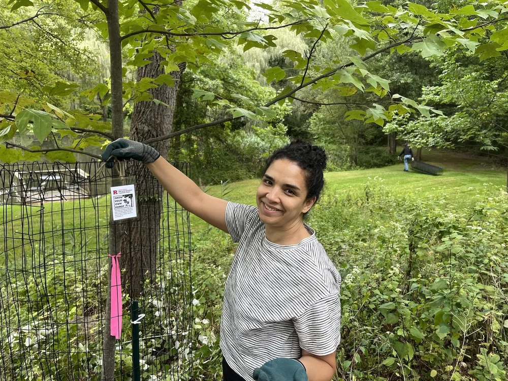 j tree cages 2 sept 2024.jpg