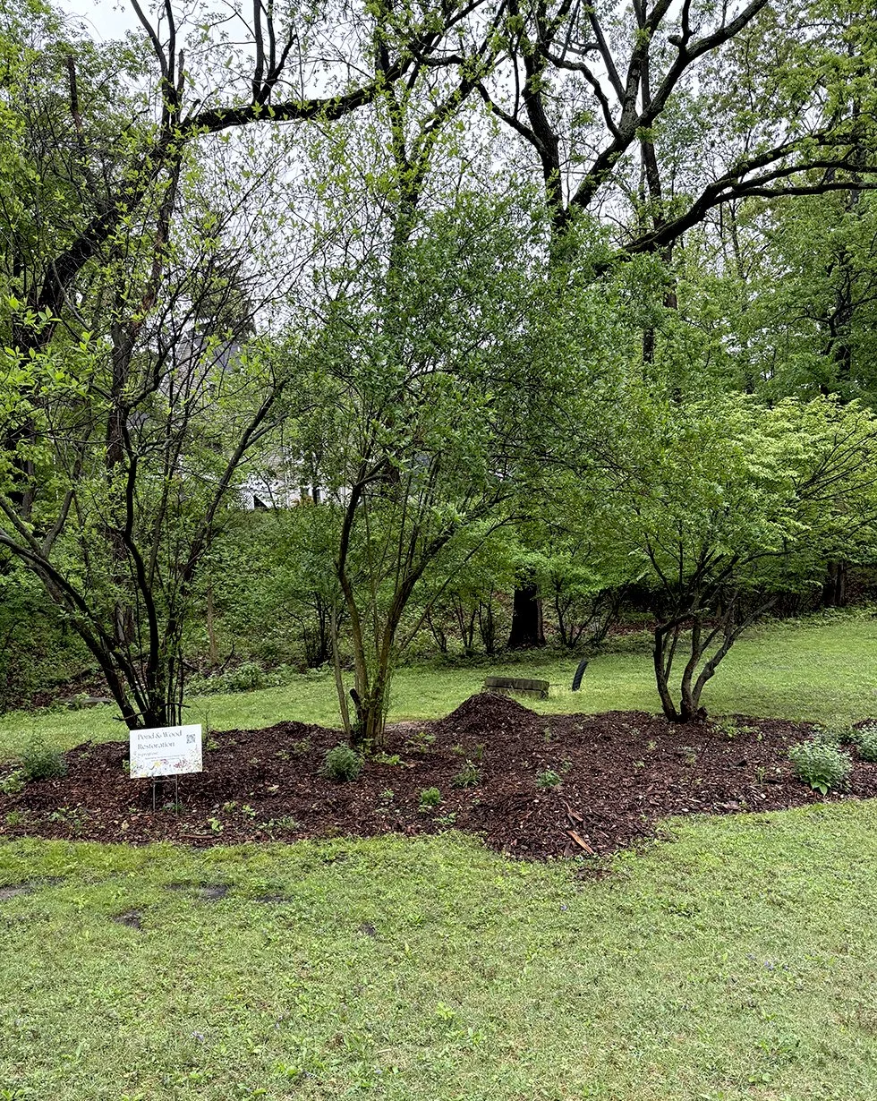 Pond & Woodland Trail Clean-Up