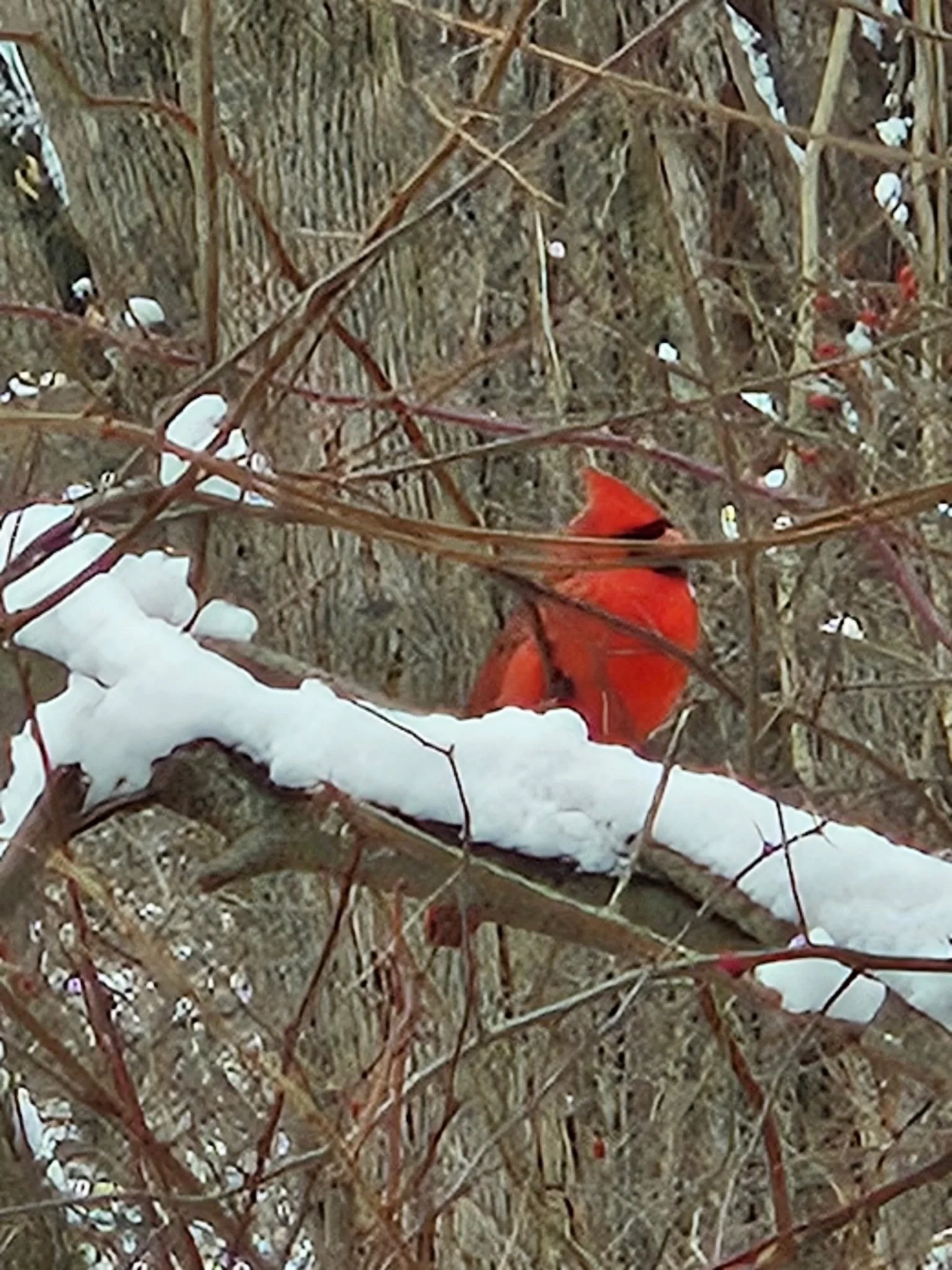 Rutgers University Projects in Mt. Tabor