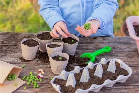 Kid’s Garden Activity