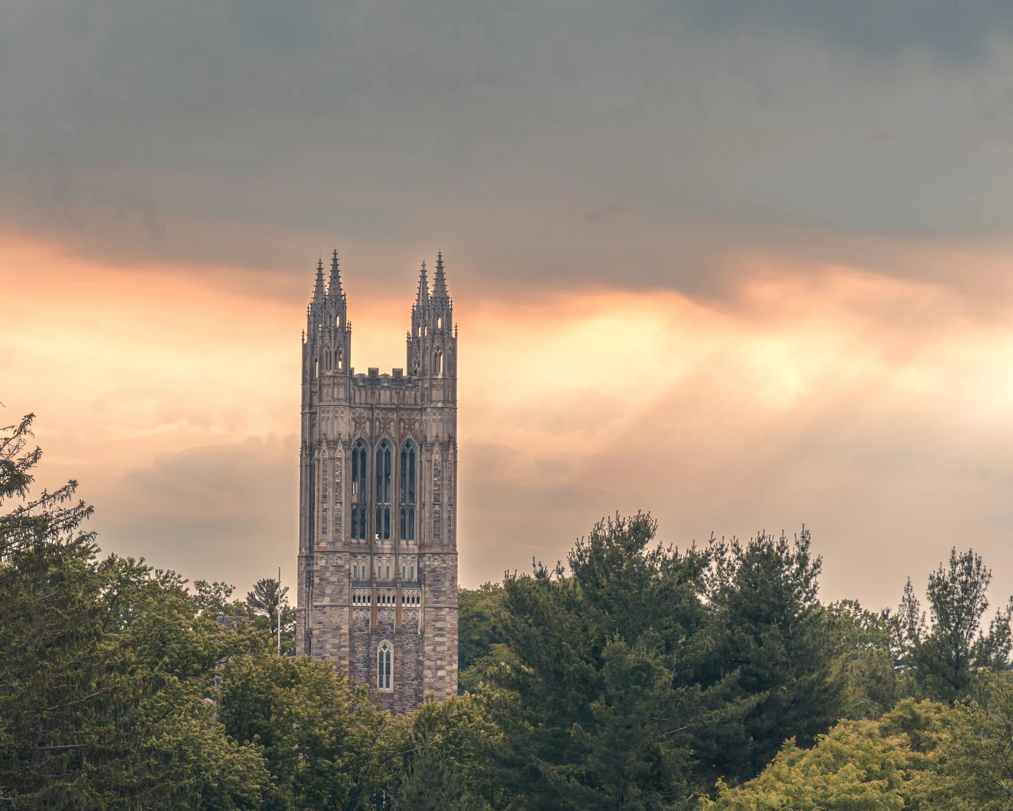 Princeton Graduate Student Government Princeton Graduate Student Government