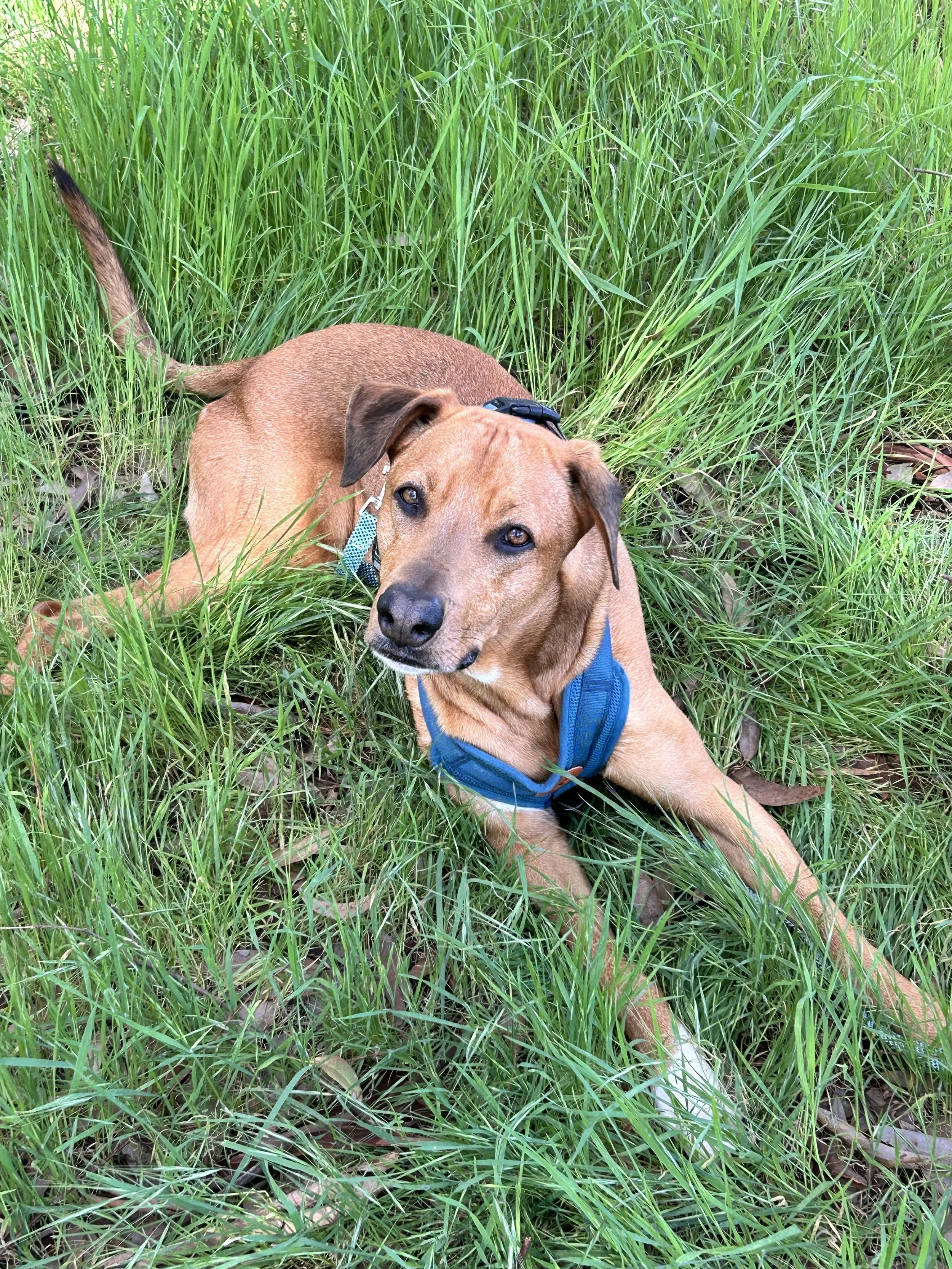 IMG_7364 - J’aime Nowak.jpeg