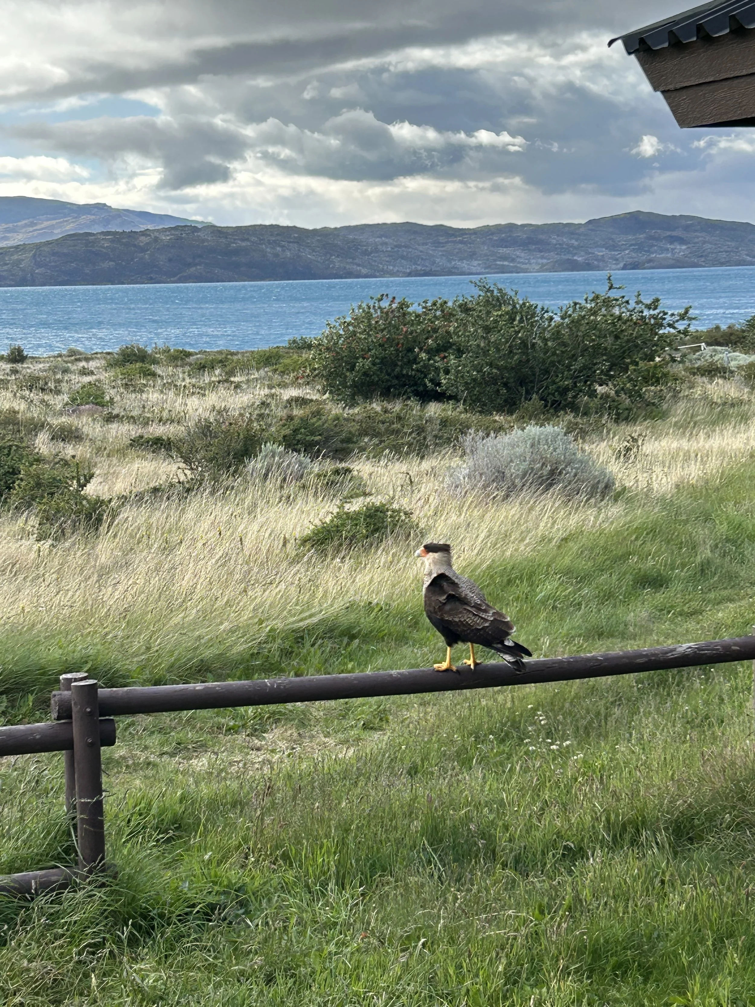 IMG_6870 - Natalia Poskrebysheva.jpeg