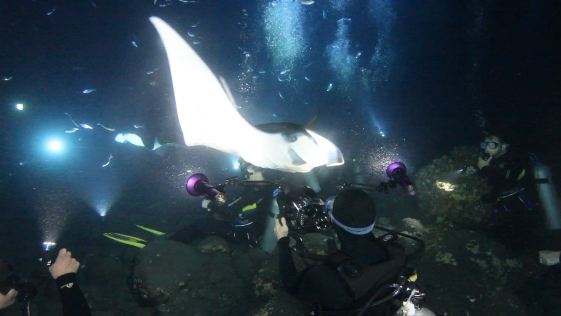 Campfire Inspire - Martina Wing at work underwater (1).jpg