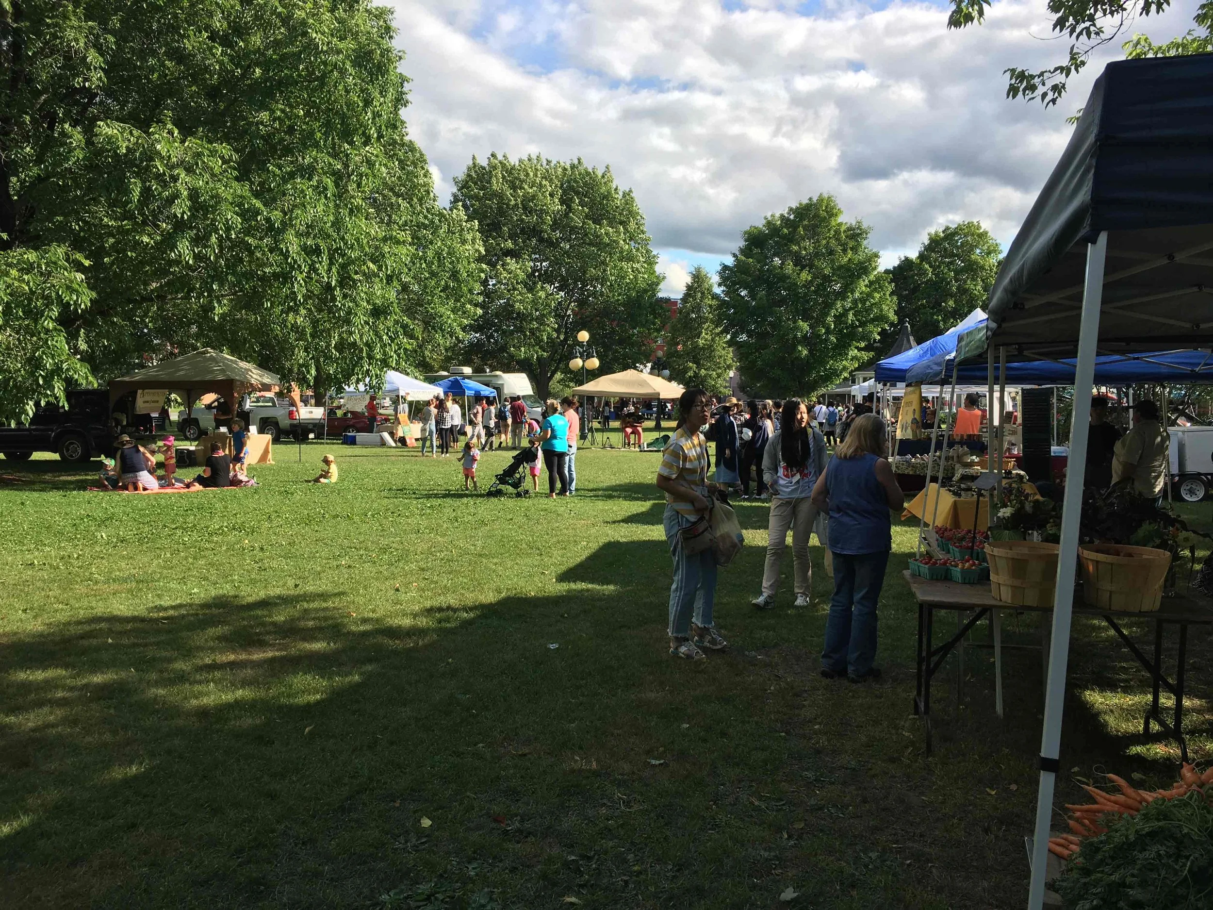 Summer Market