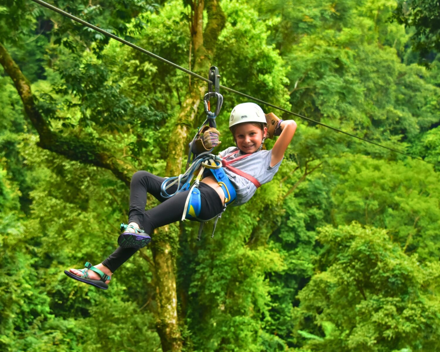 Zip line (4).jpg