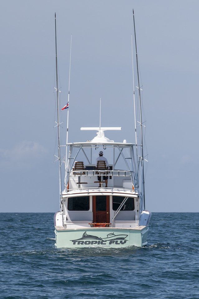 DSC_0911-X2.jpg