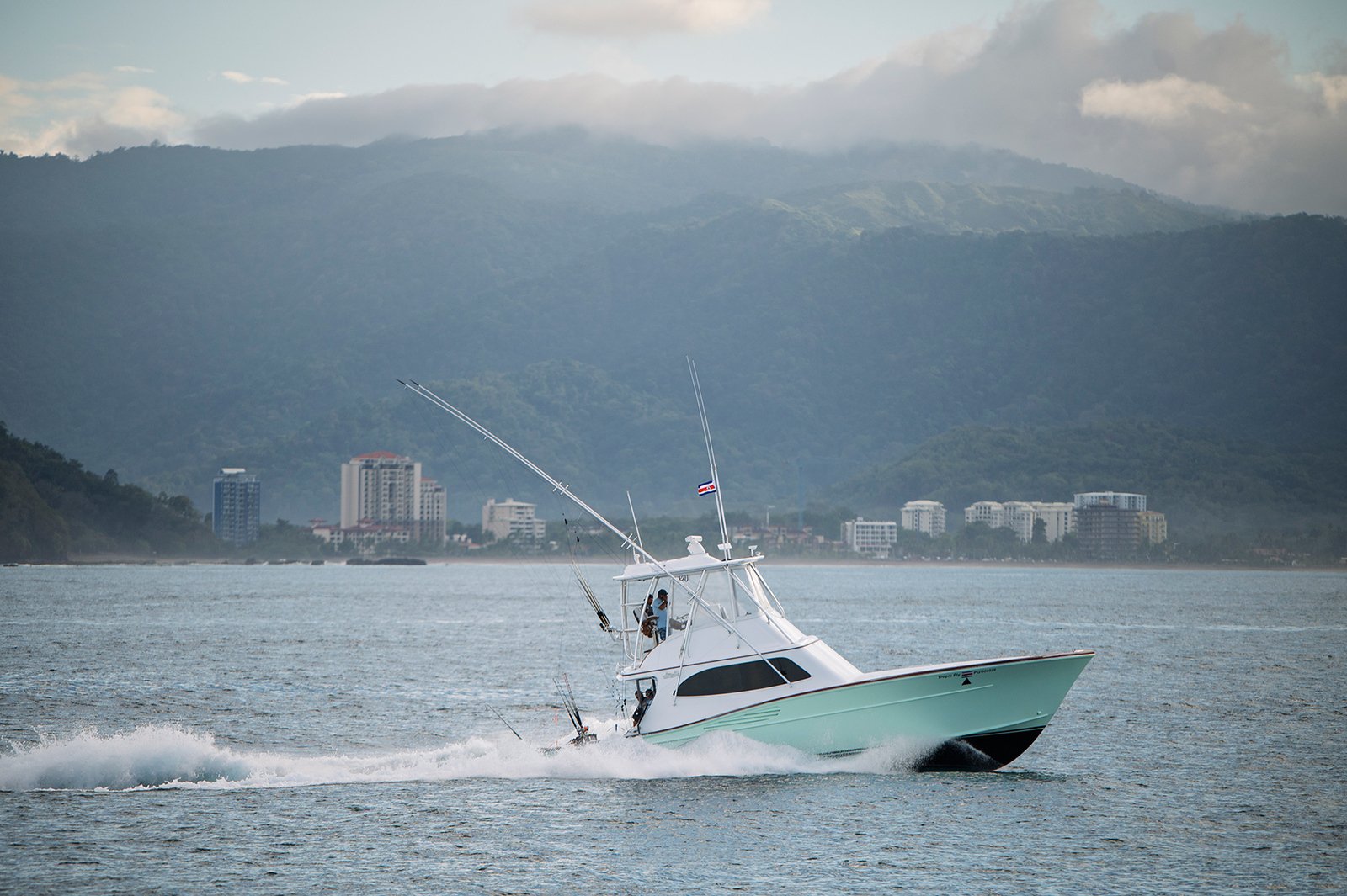 DSC_8386-X3.jpg