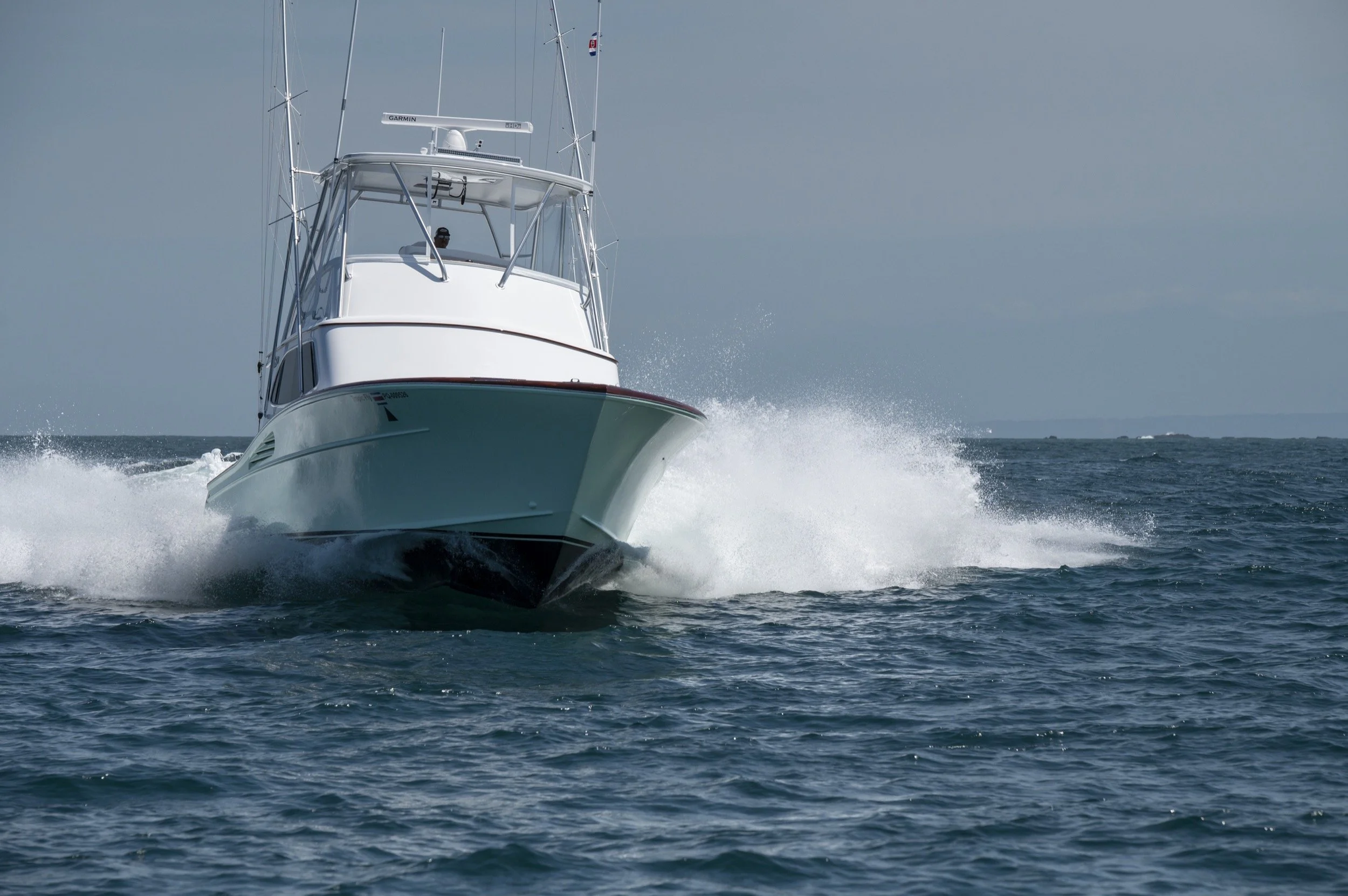 charter in action