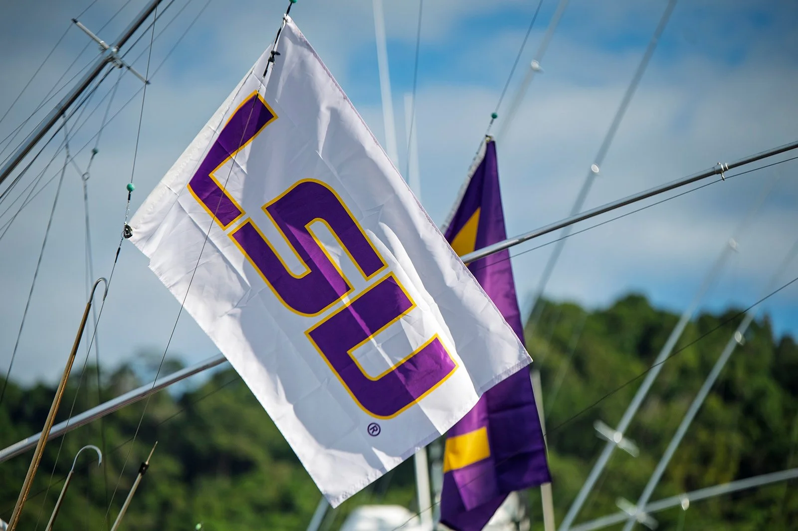 Close-up of purple and yellow flags on sailboats set against a cloudy sky with trees in the background.