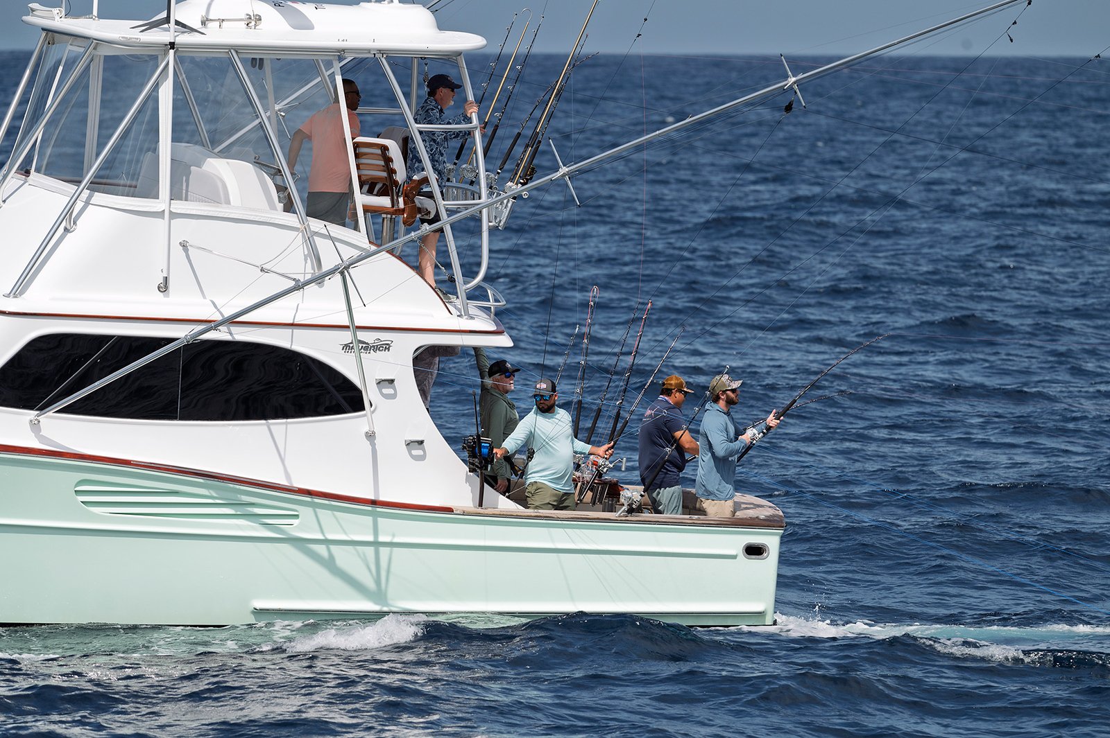 DSC_7911-X3.jpg