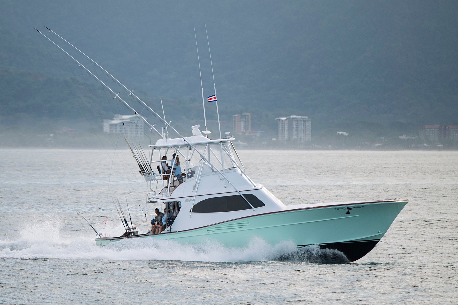 DSC_8381-X3.jpg