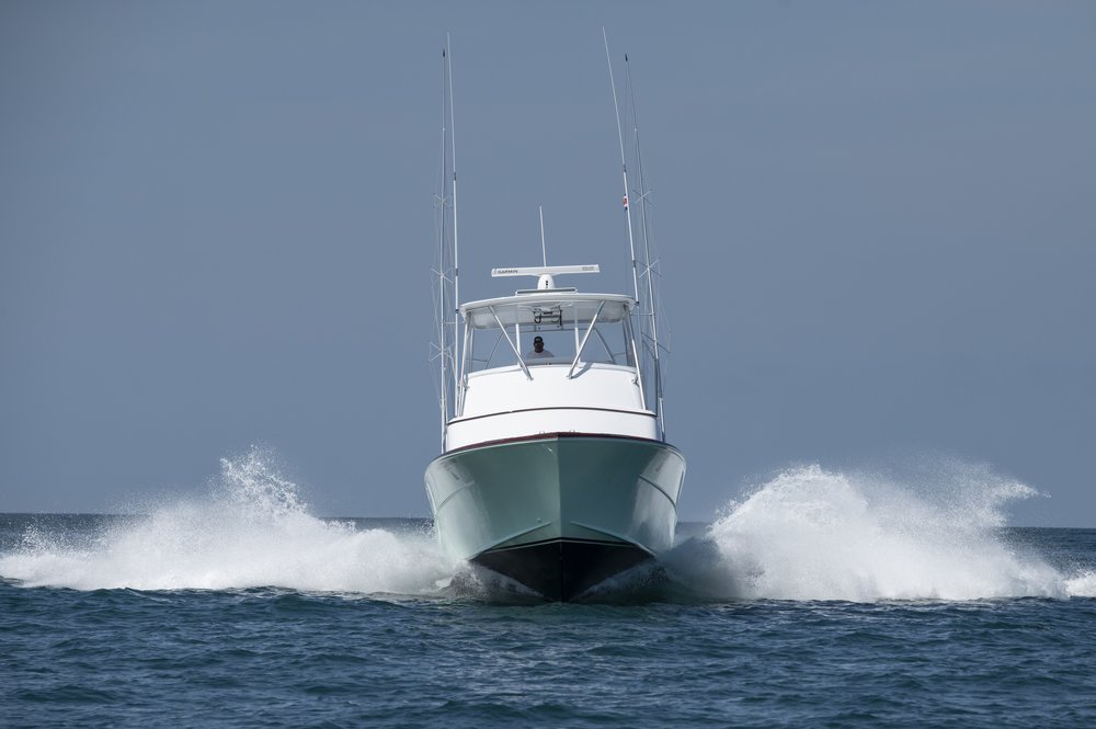 charter in action