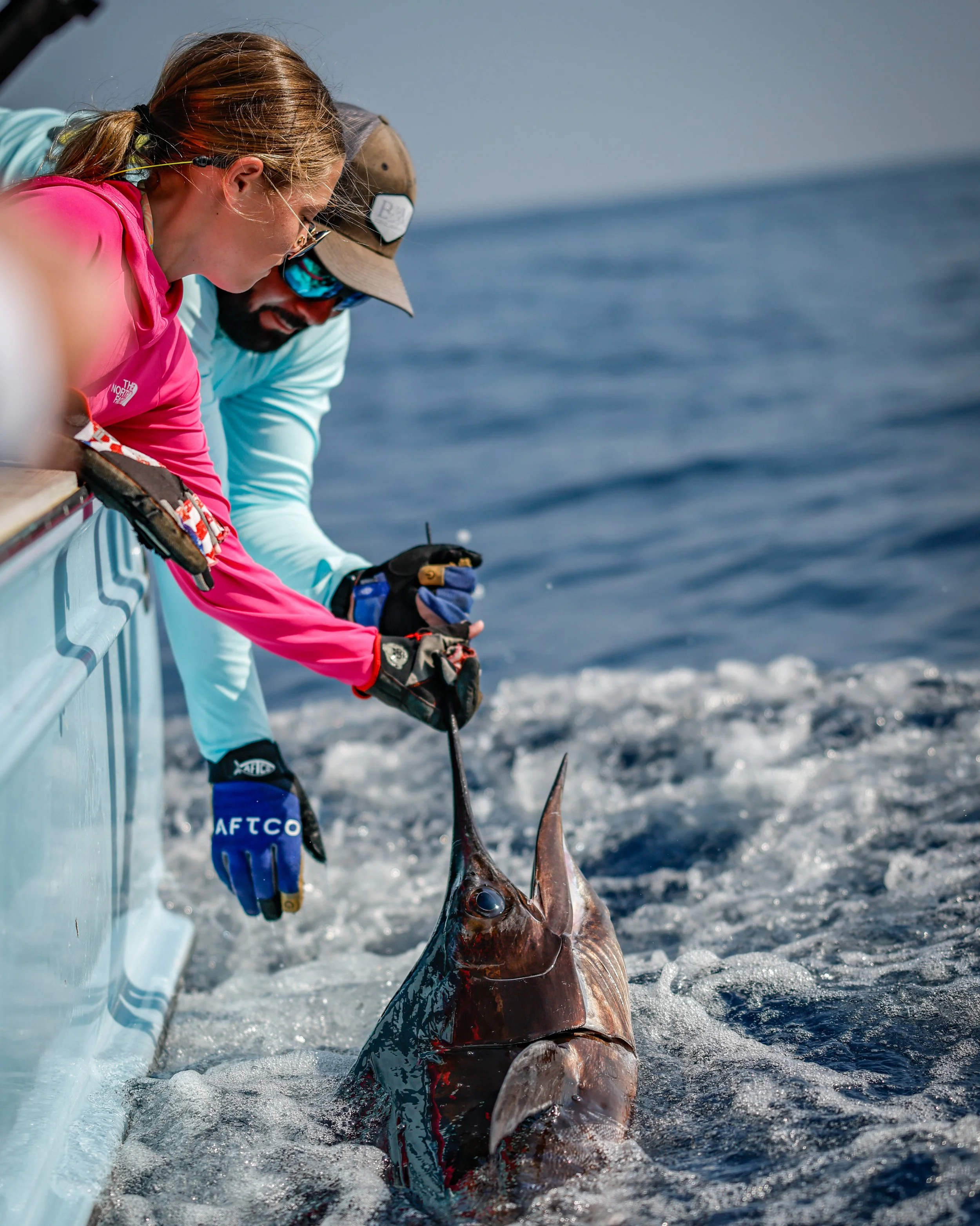Two people on a boat catching a large fish, likely a marlin, in the ocean.