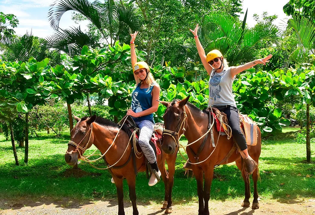 Adventure Highlight: Horseback Riding Through The Rainforest — Maverick ...