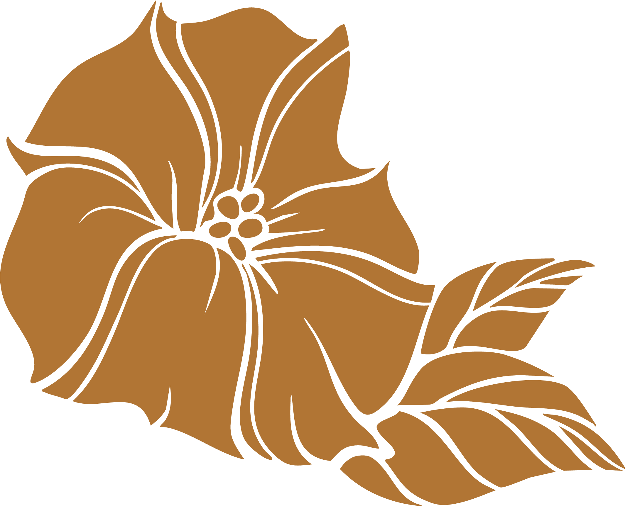 Massage therapy Richmond VA. A drawing of a brown poinsettia flower with leaves.