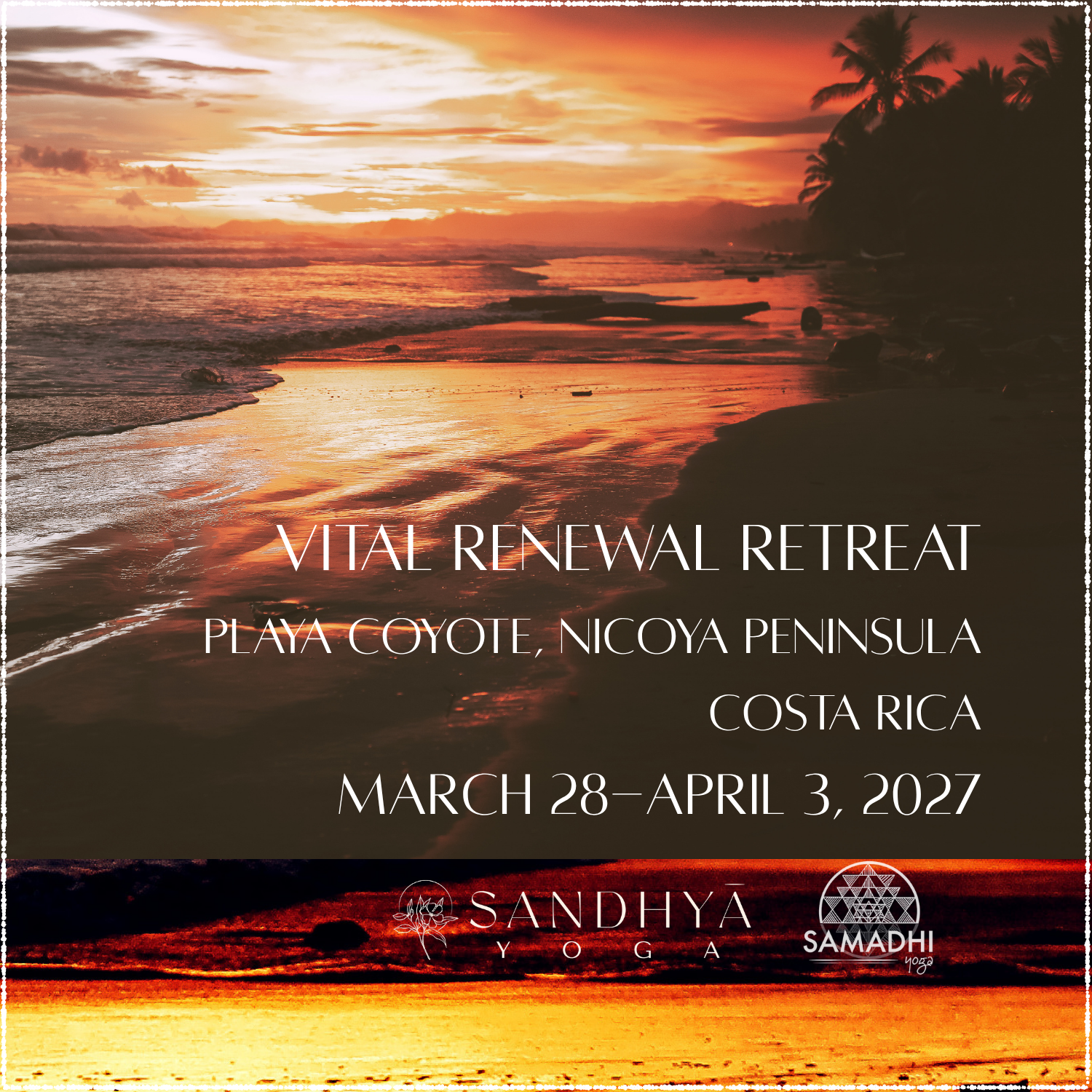 Sunset over the beach with palm trees, waves, and reflective water, promoting a Vital Renewal Retreat on Playa Coyote, Nicoya Peninsula, Costa Rica, from March 28 to April 3, 2027, with logos for Sandhya Yoga and Samadhi Yoga.