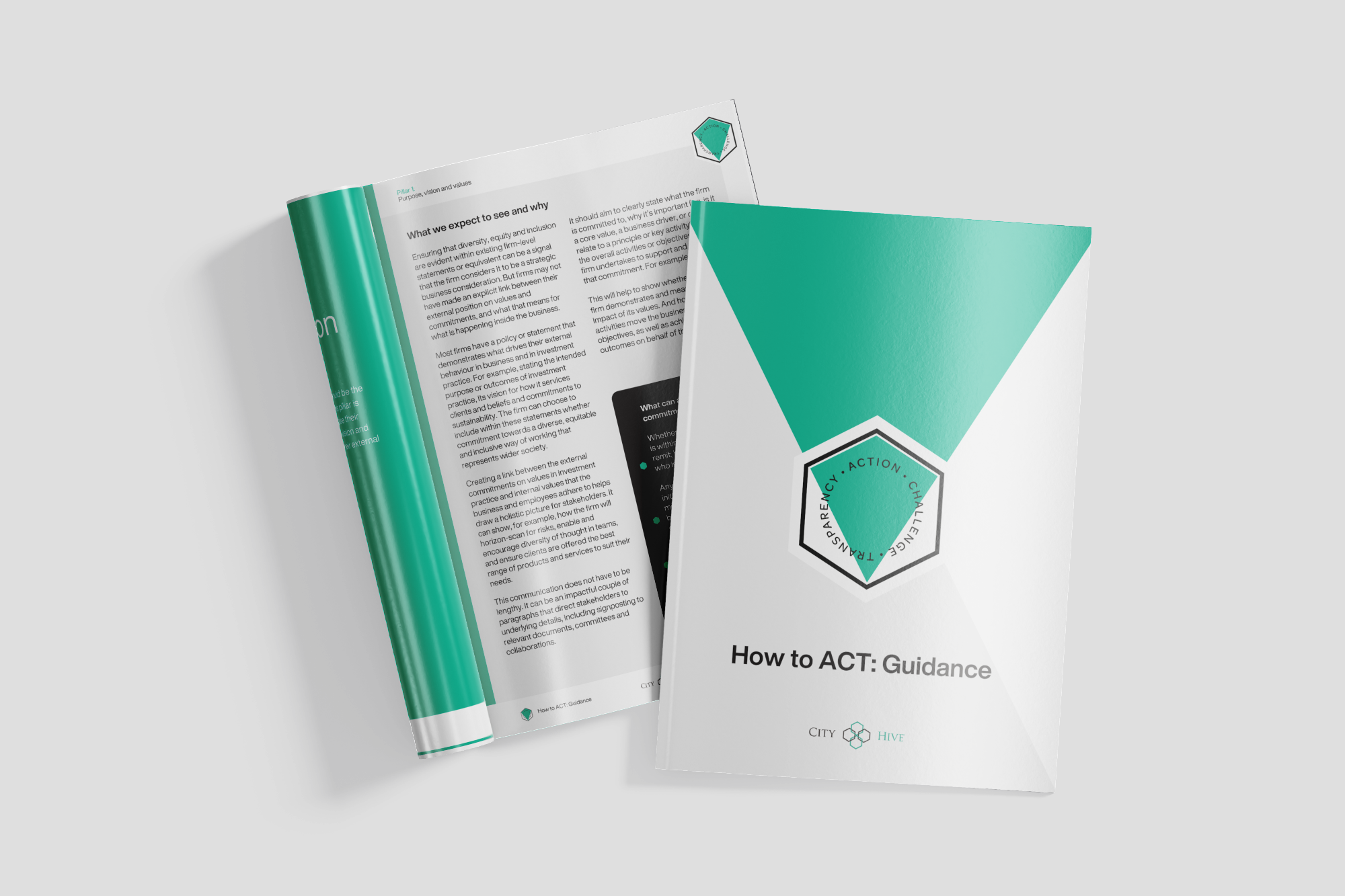 Reporting: ACT Guidance for Signatories