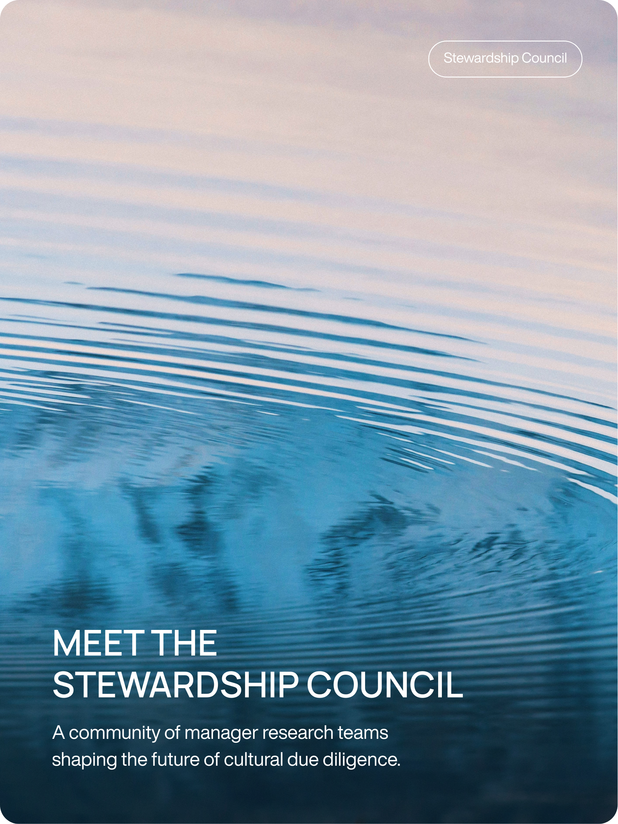 Meet the Stewardship Council