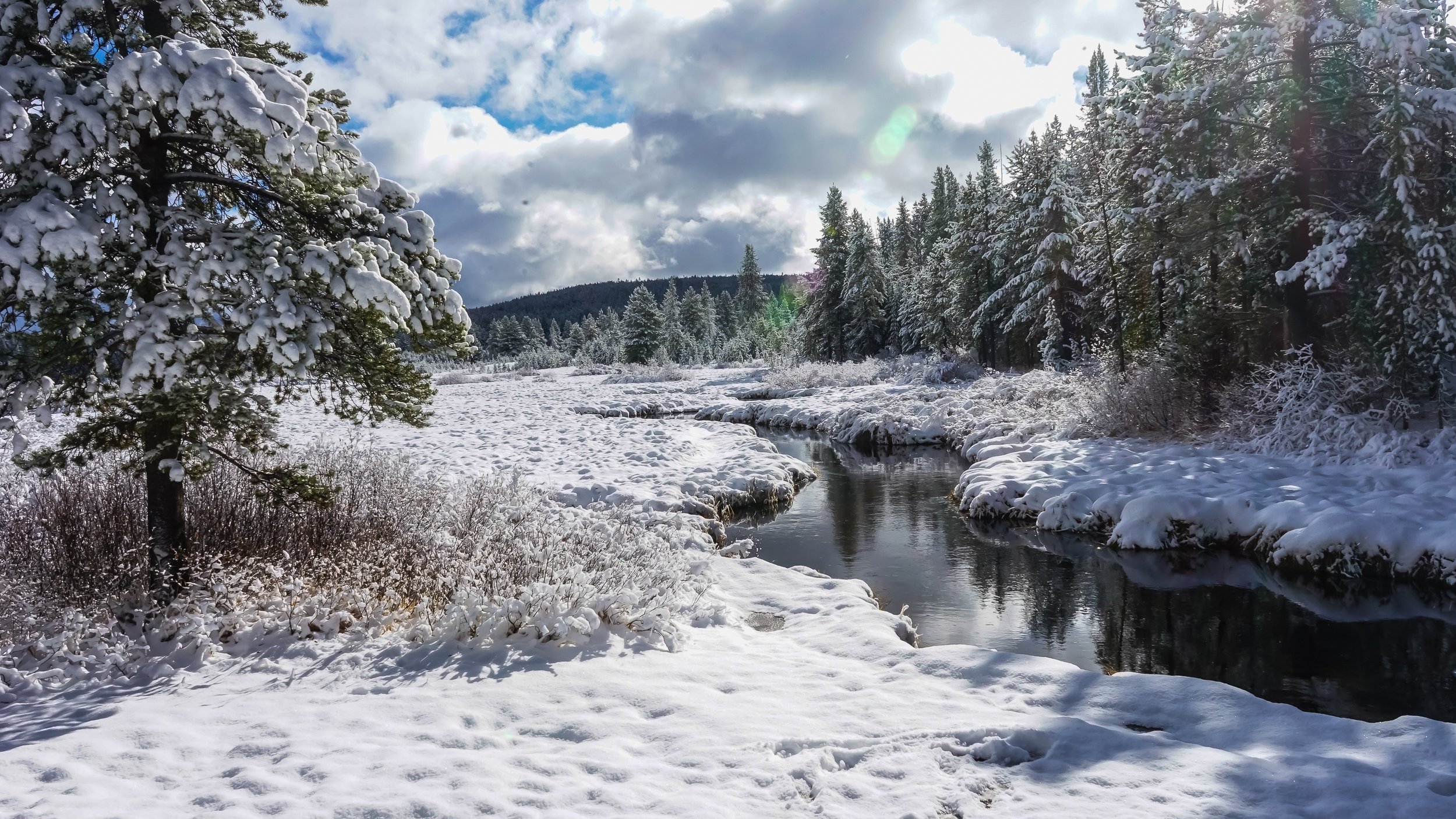 Yellowstone Pnthr Crk 5 Wc-2-3.jpg