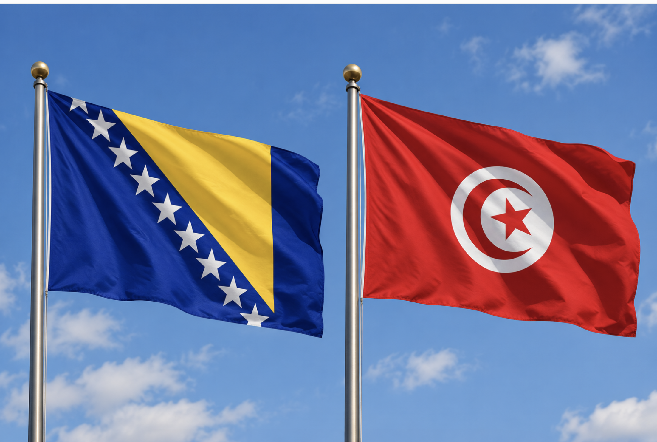 Visit to Embassy of Tunisia and Embassy of Bosnia and Herzegovina