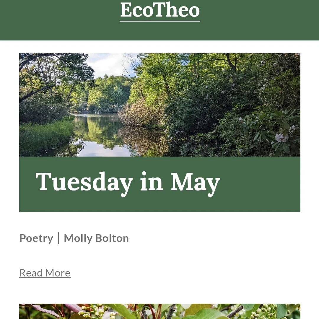 I love the work of @ecotheo, so it's an honor to be published by them.

Check out their website for soulful writing or to hear me reading this little poem. EcoTheo.org
