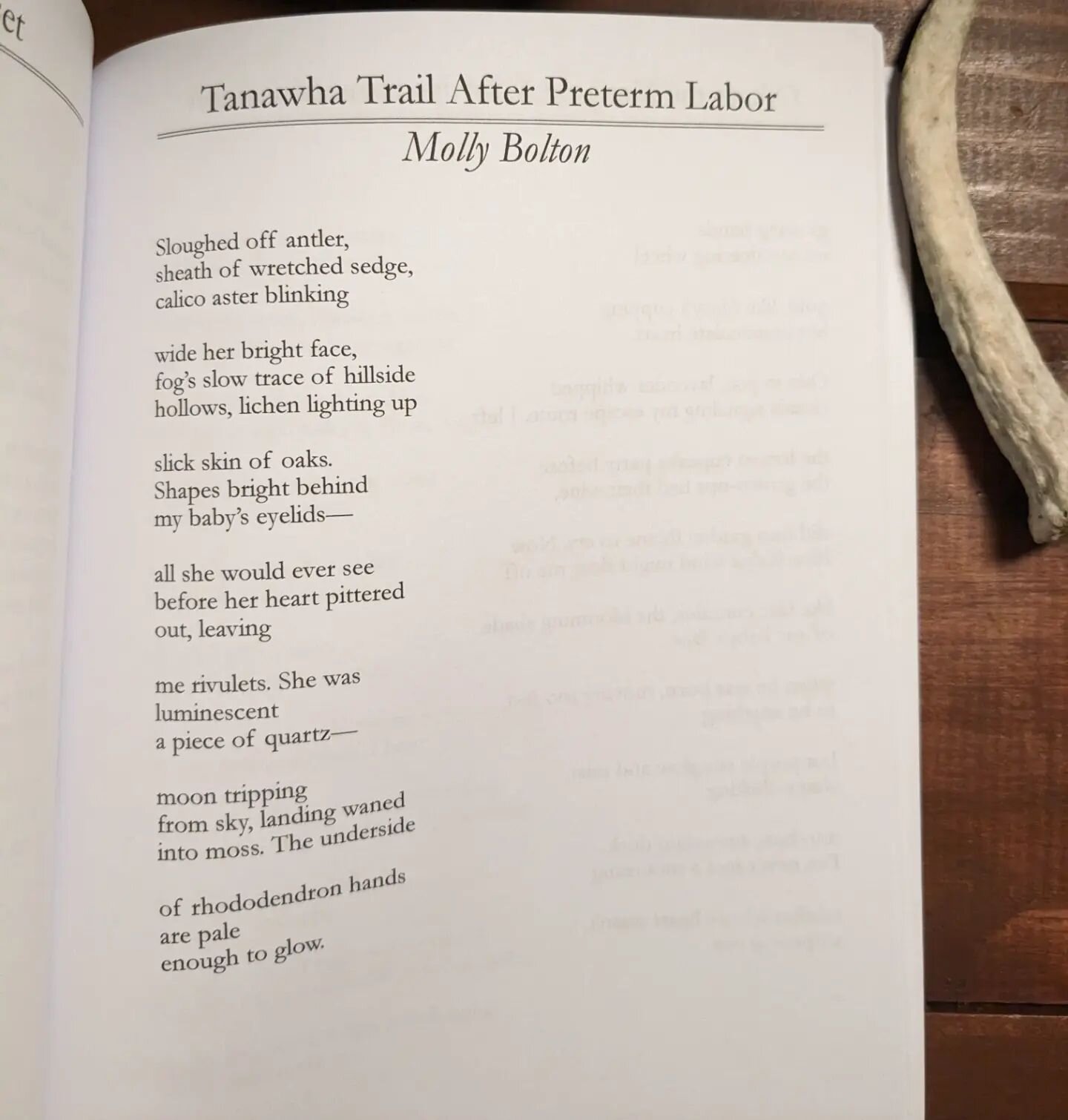 Poem from the NC Gilbert-Chappell Distinguish Poets Series.