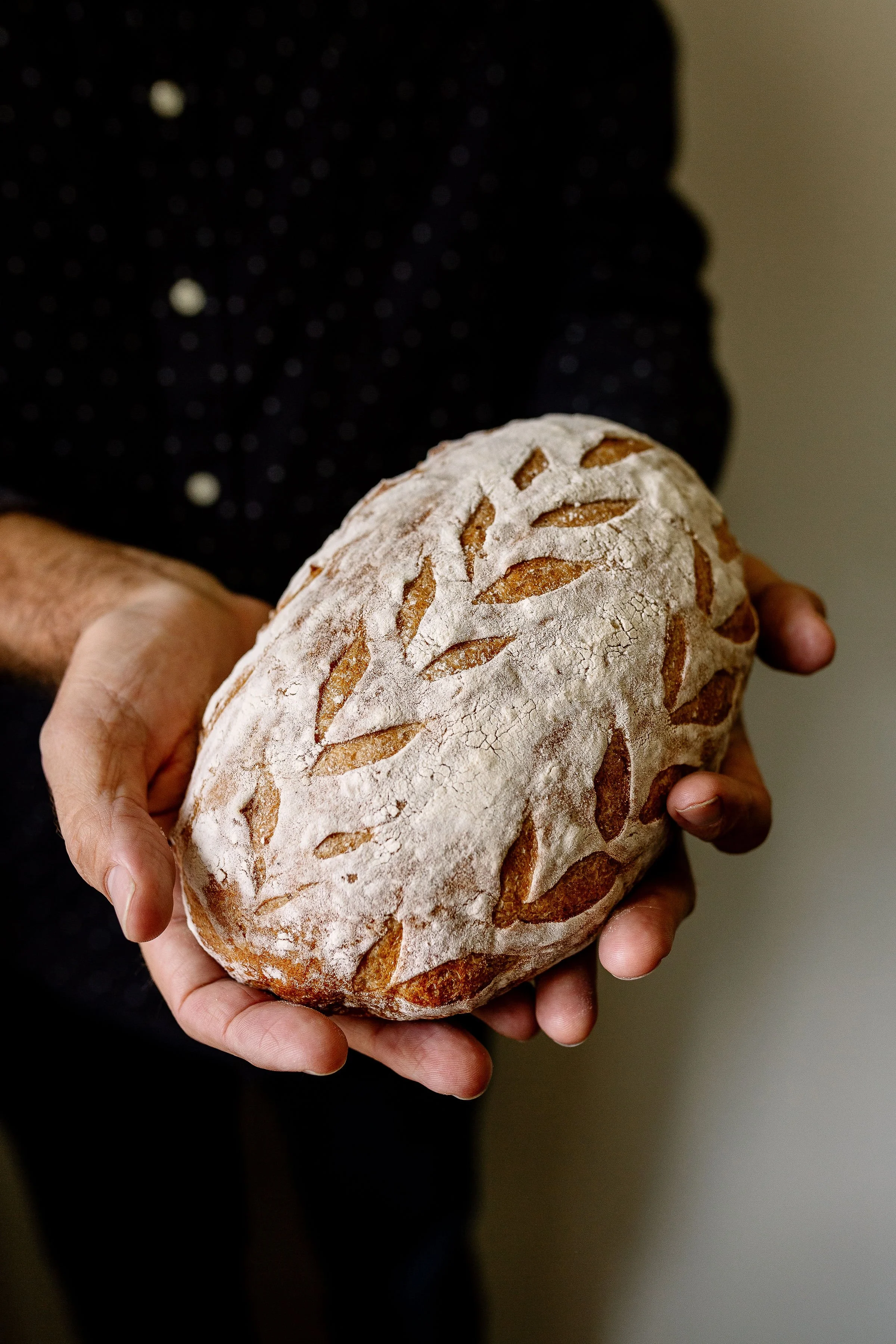 French Batard — Camino Bakery