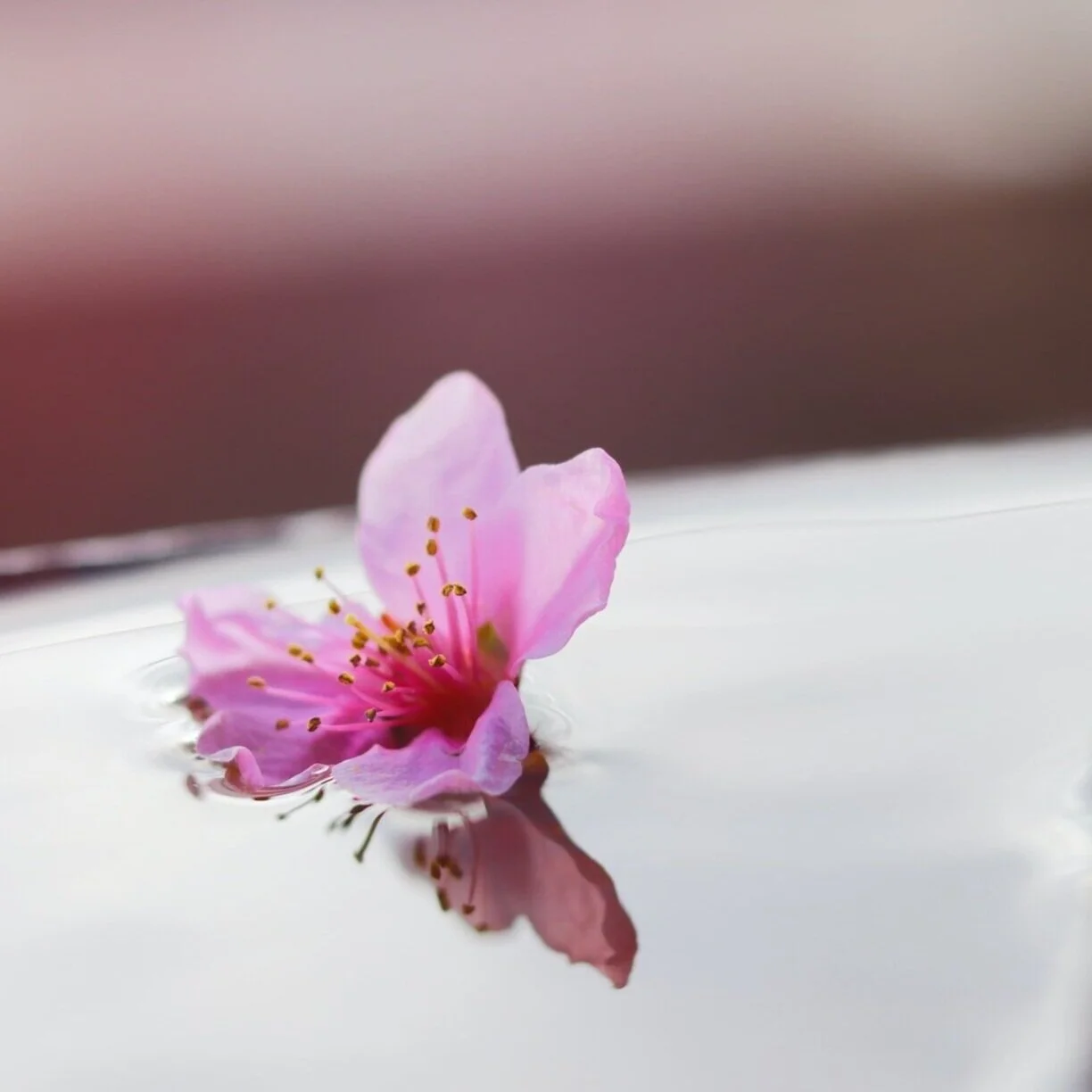 unsplash-image-gTSUokbJAYA.jpg