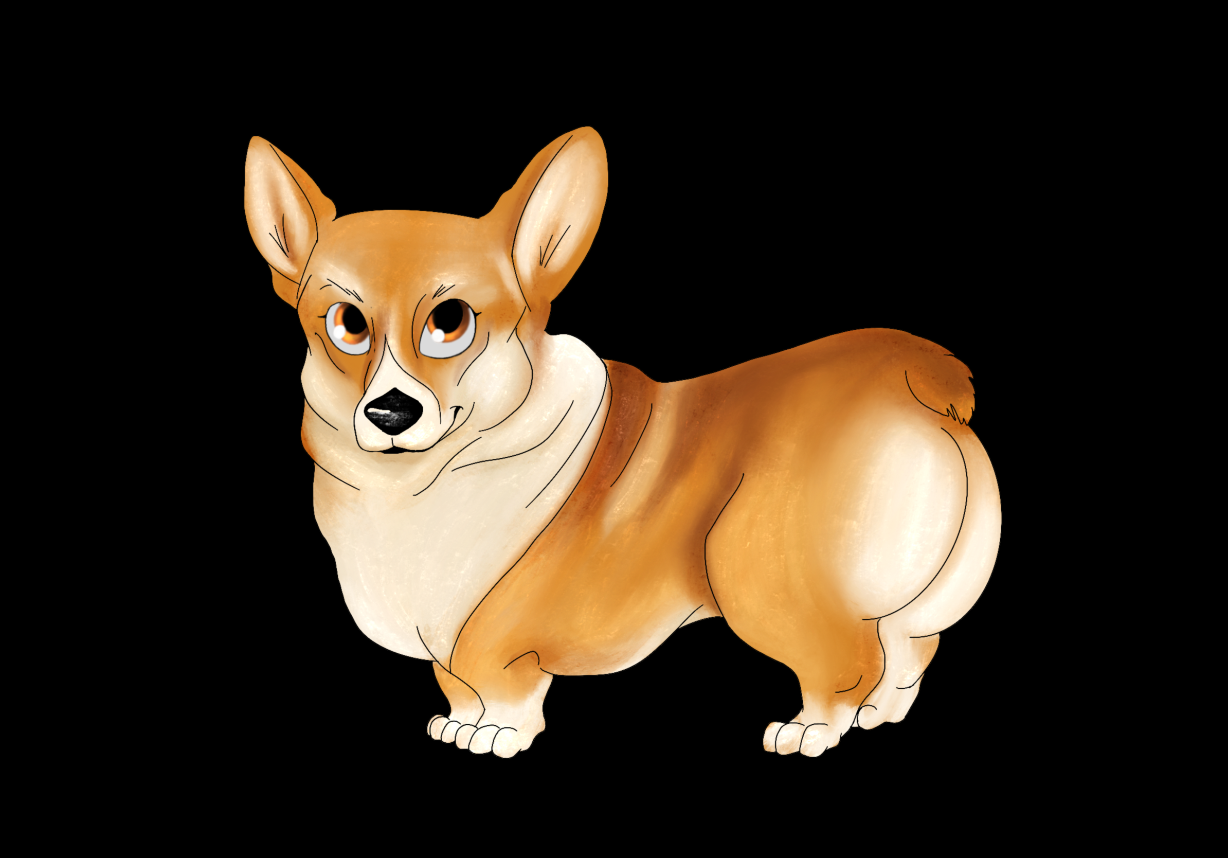 IMG_0182.png