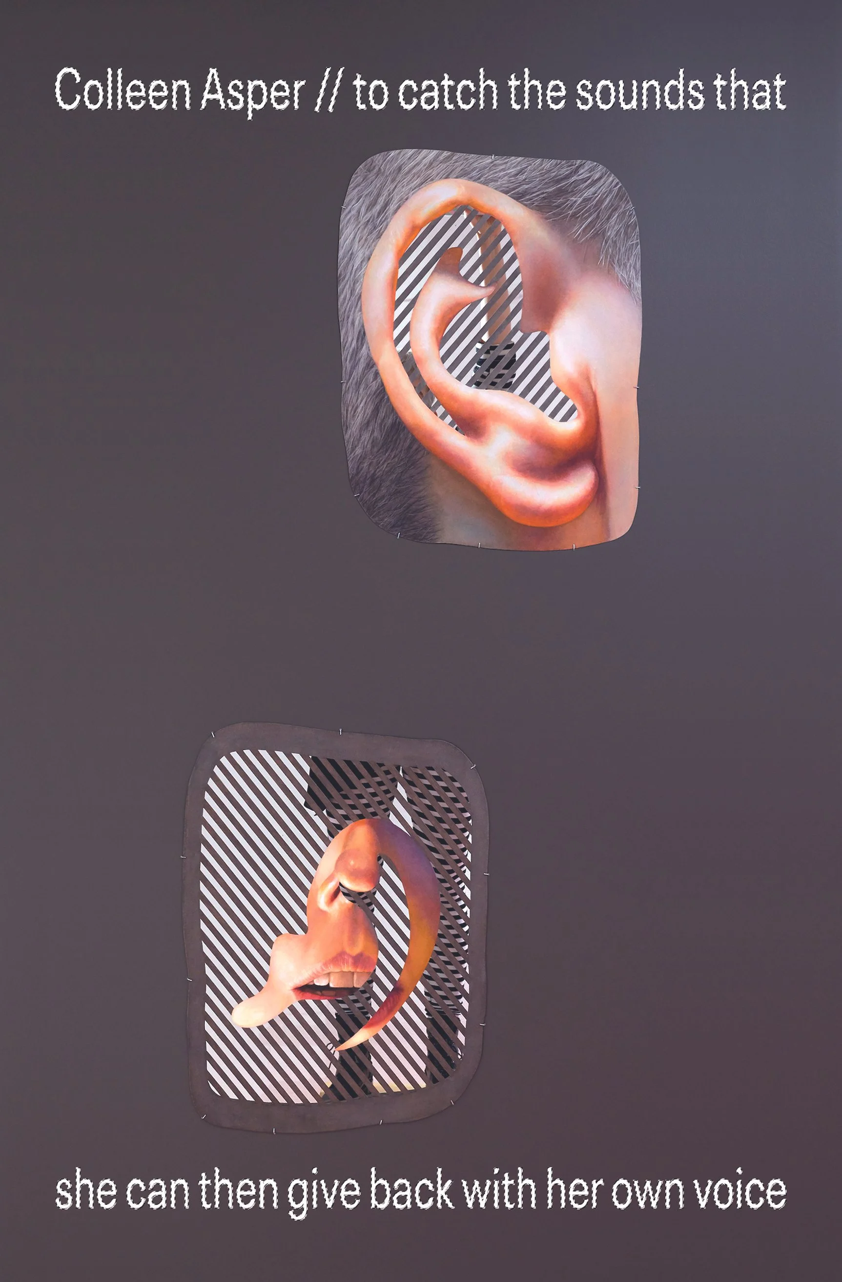 cover to colleen asper zine to catch the sounds wit two ears