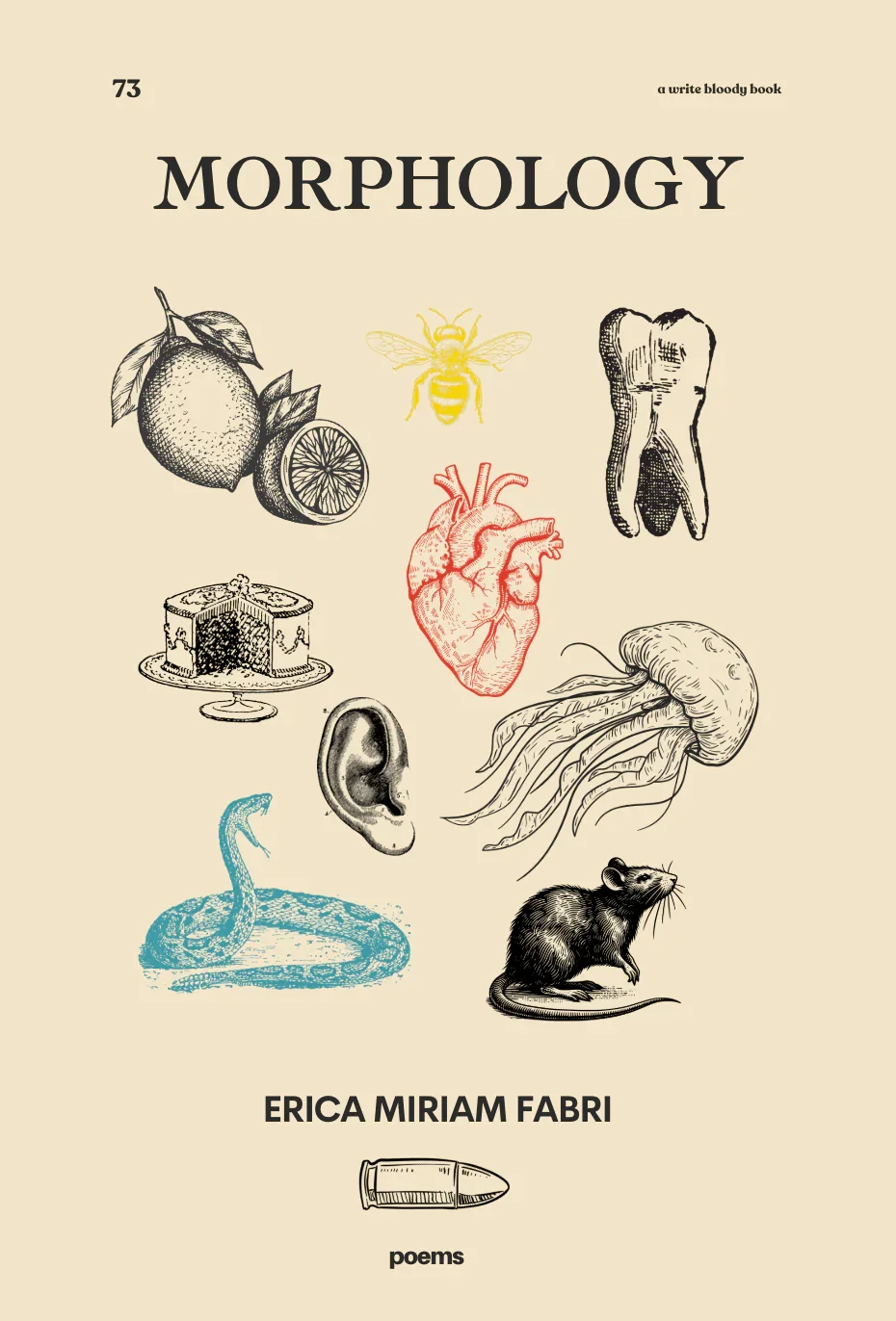 cover of the book Morphology