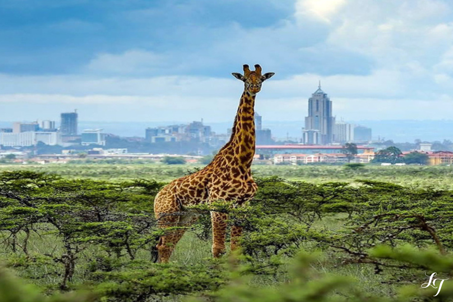 Discover Kenya: A Group Travel Experience Where Adventure Meets Connection