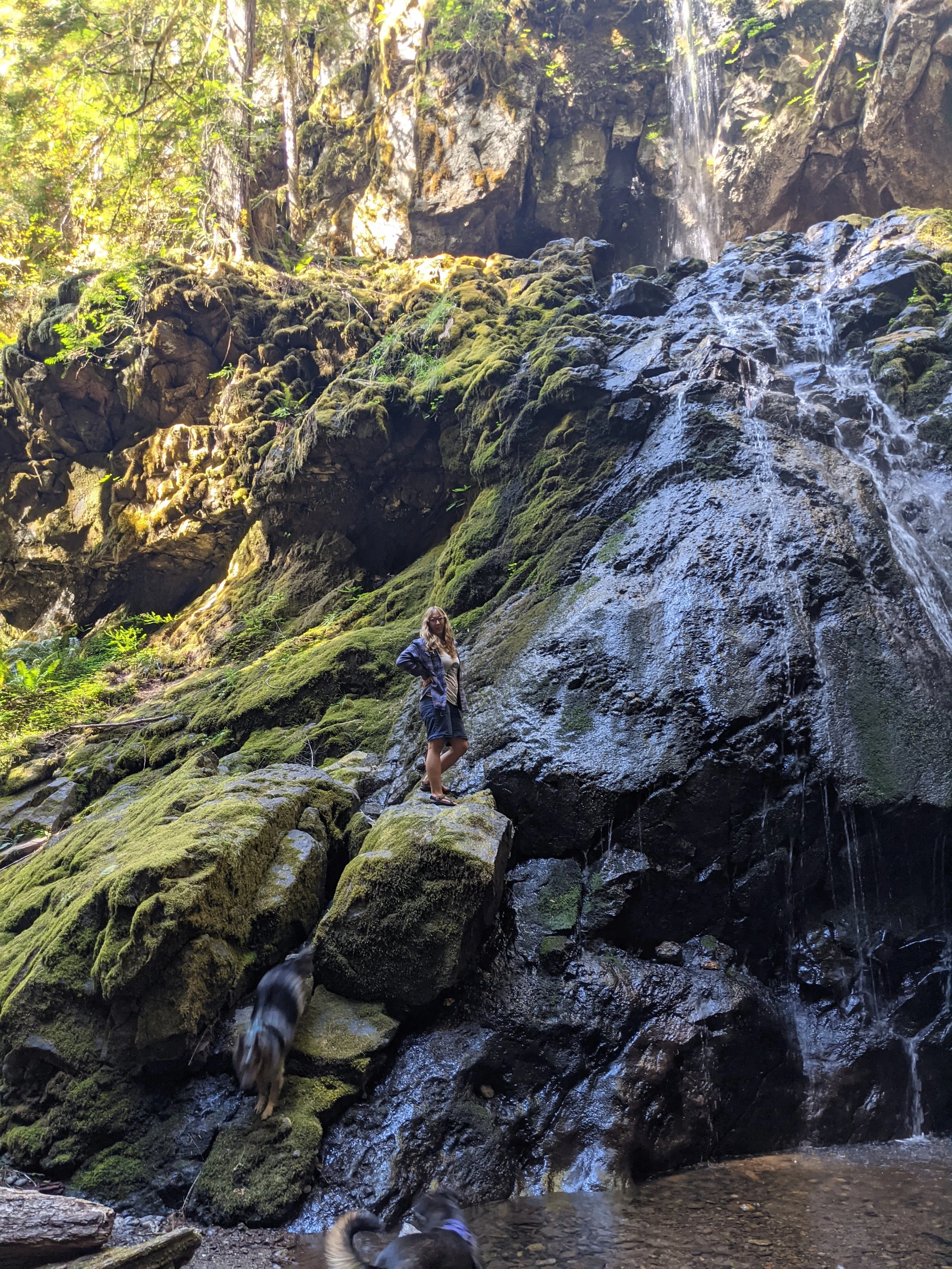 Shannon's Happy Place