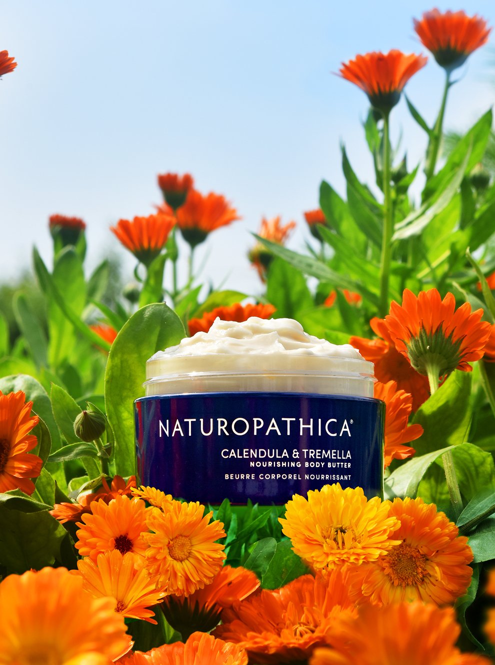 natpat-img-calendula.jpg