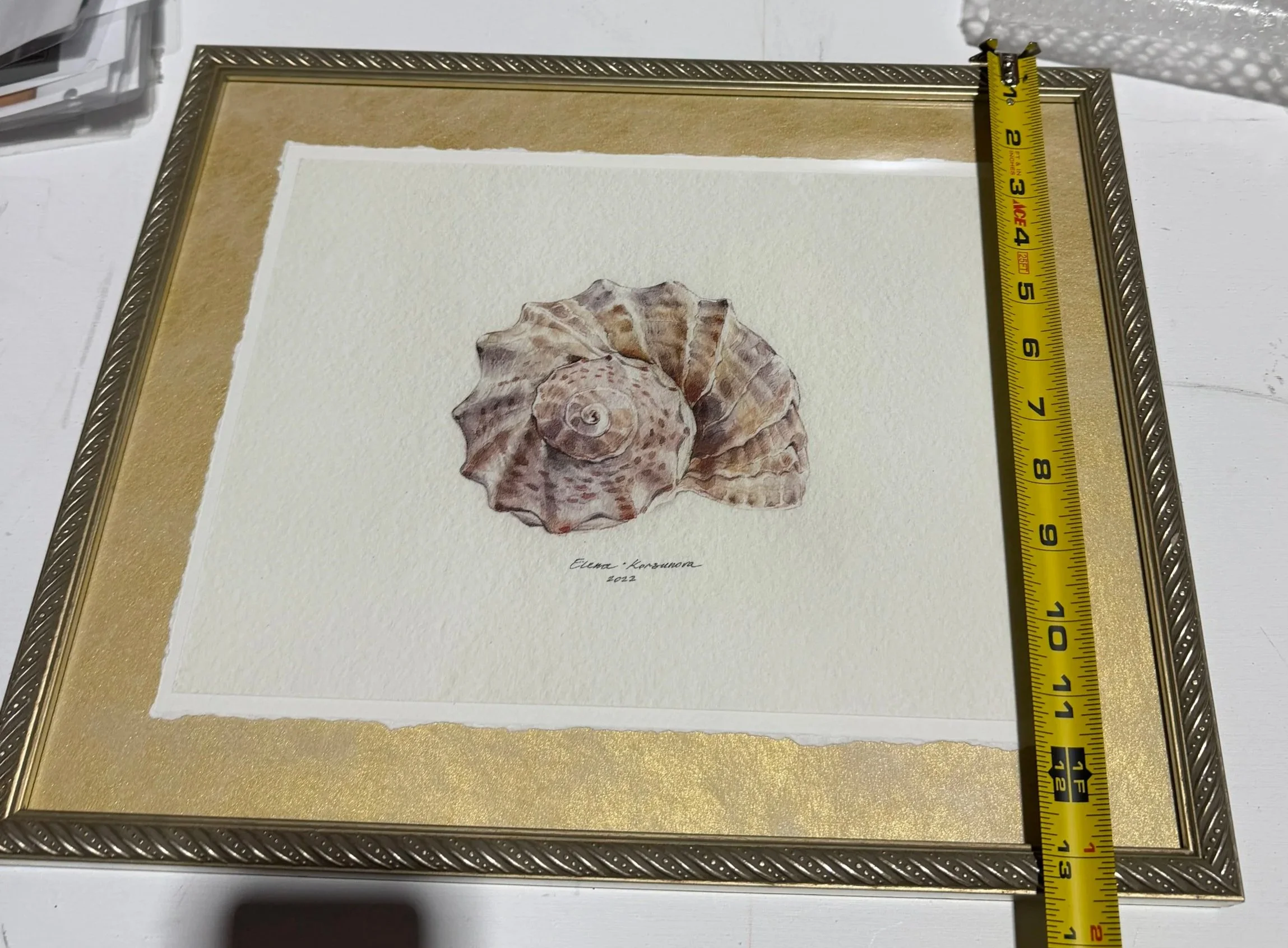 16.5" w x 13.5" h 