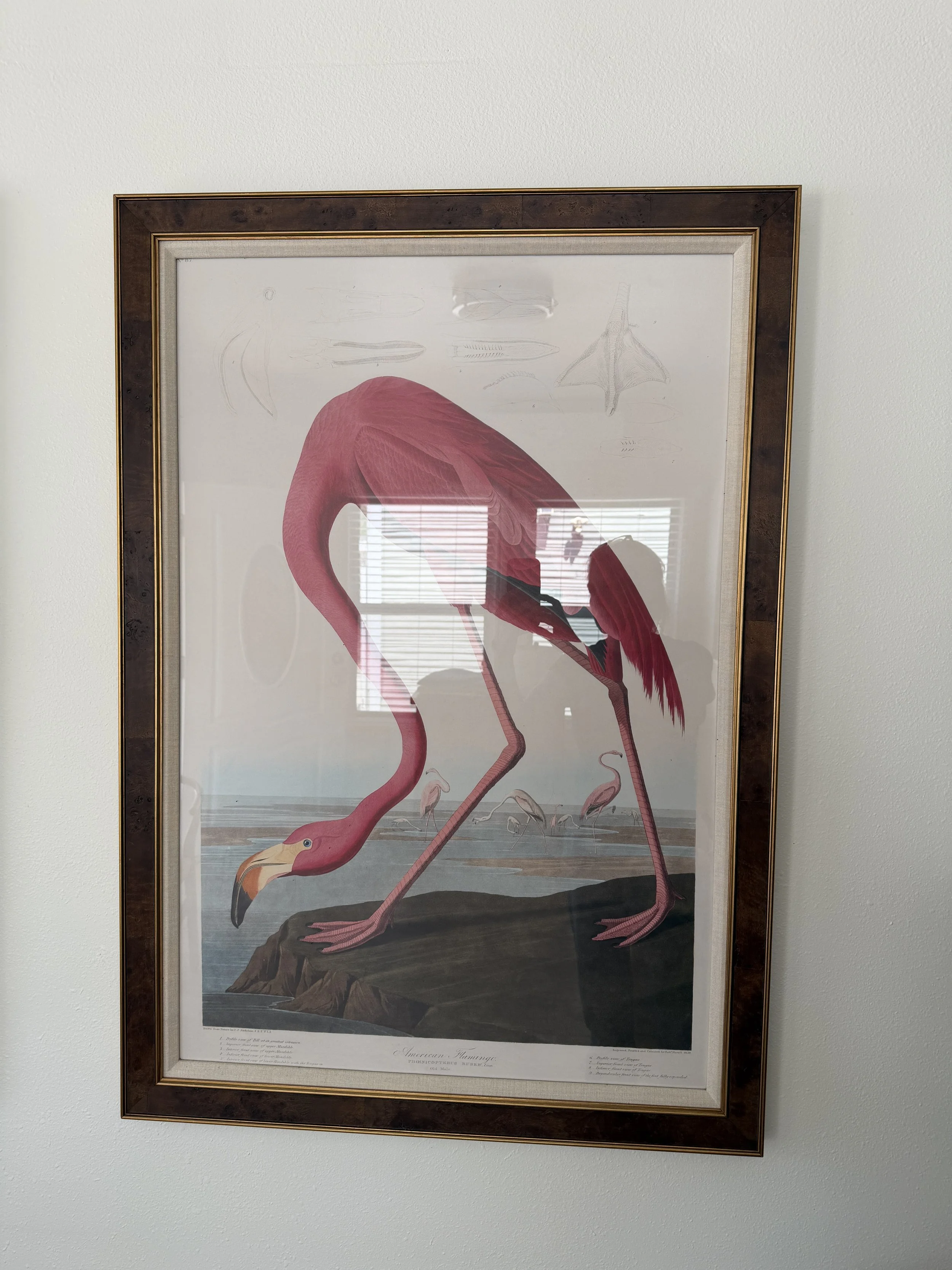 28"w x 40"h 