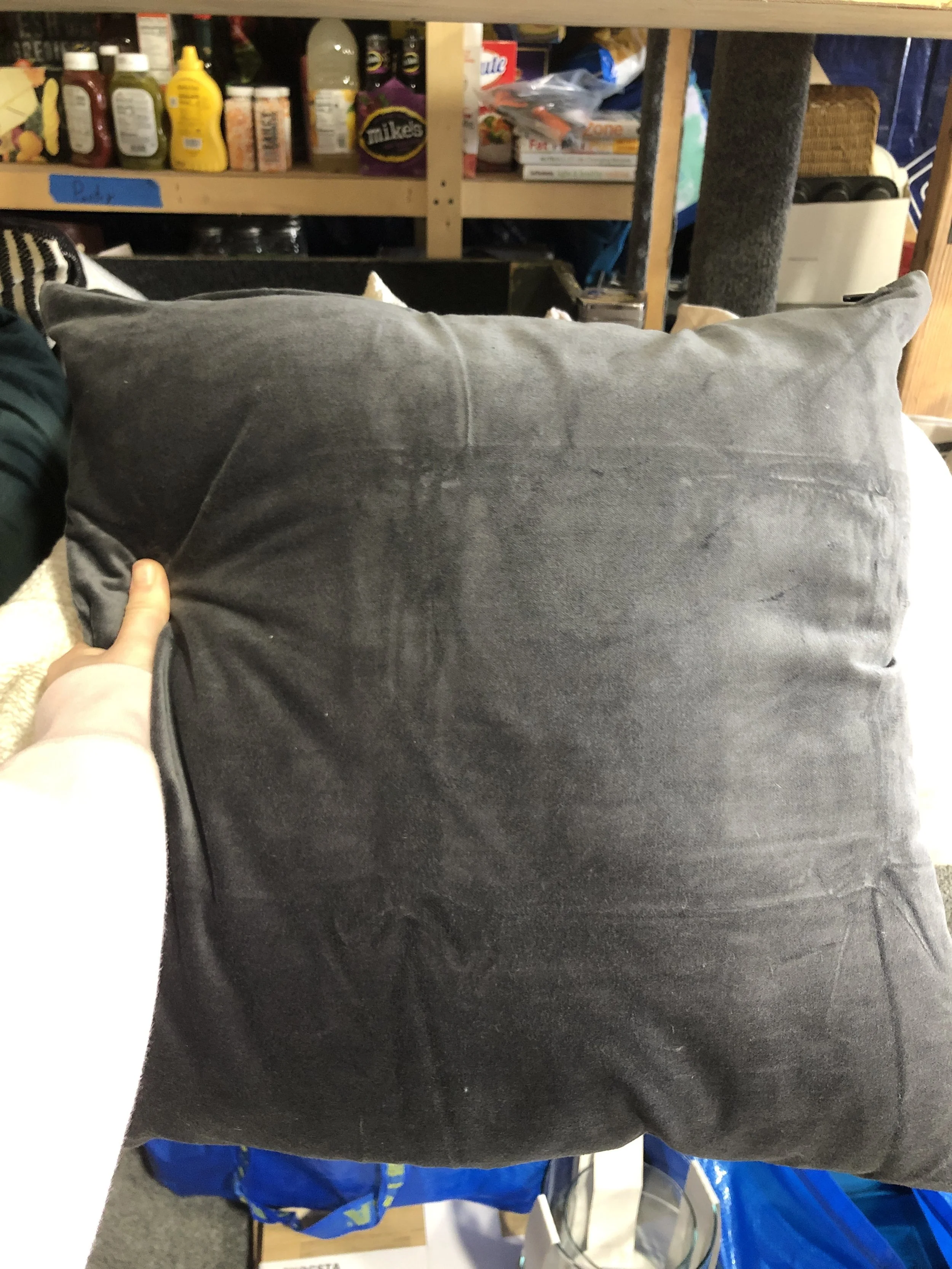 Photo May 07, 11 16 21 AM.jpg