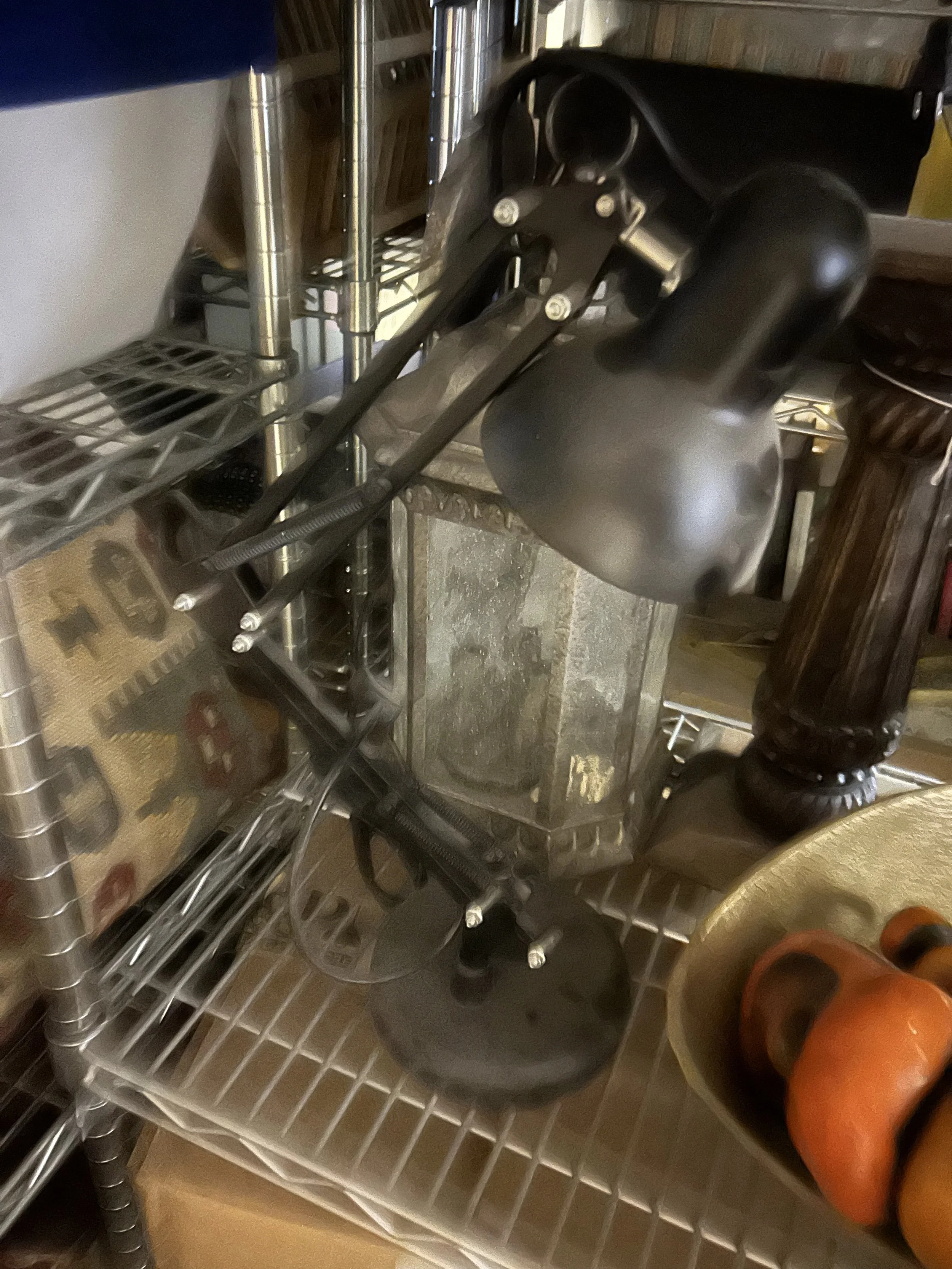 Photo Mar 01 2024, 10 59 33 AM.jpg