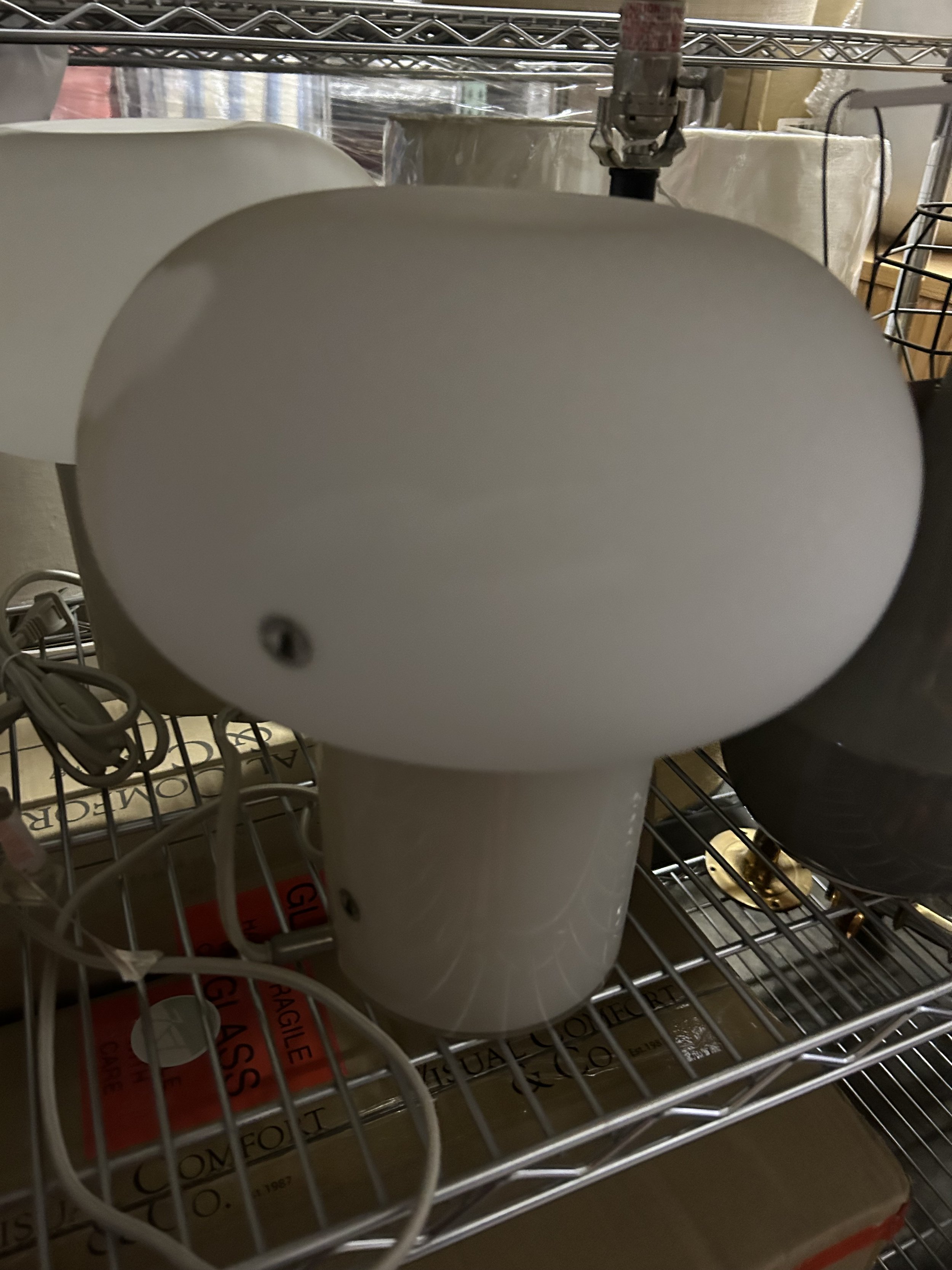 Photo Mar 01 2024, 10 59 11 AM.jpg