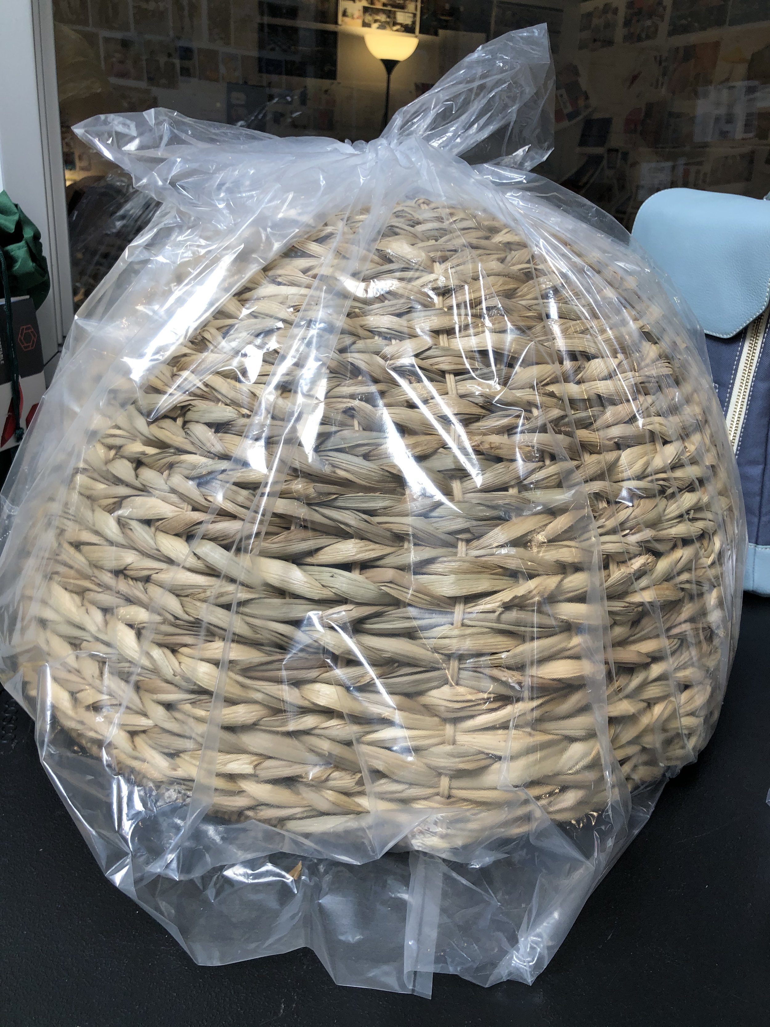 Photo May 04, 10 40 44 AM.jpg